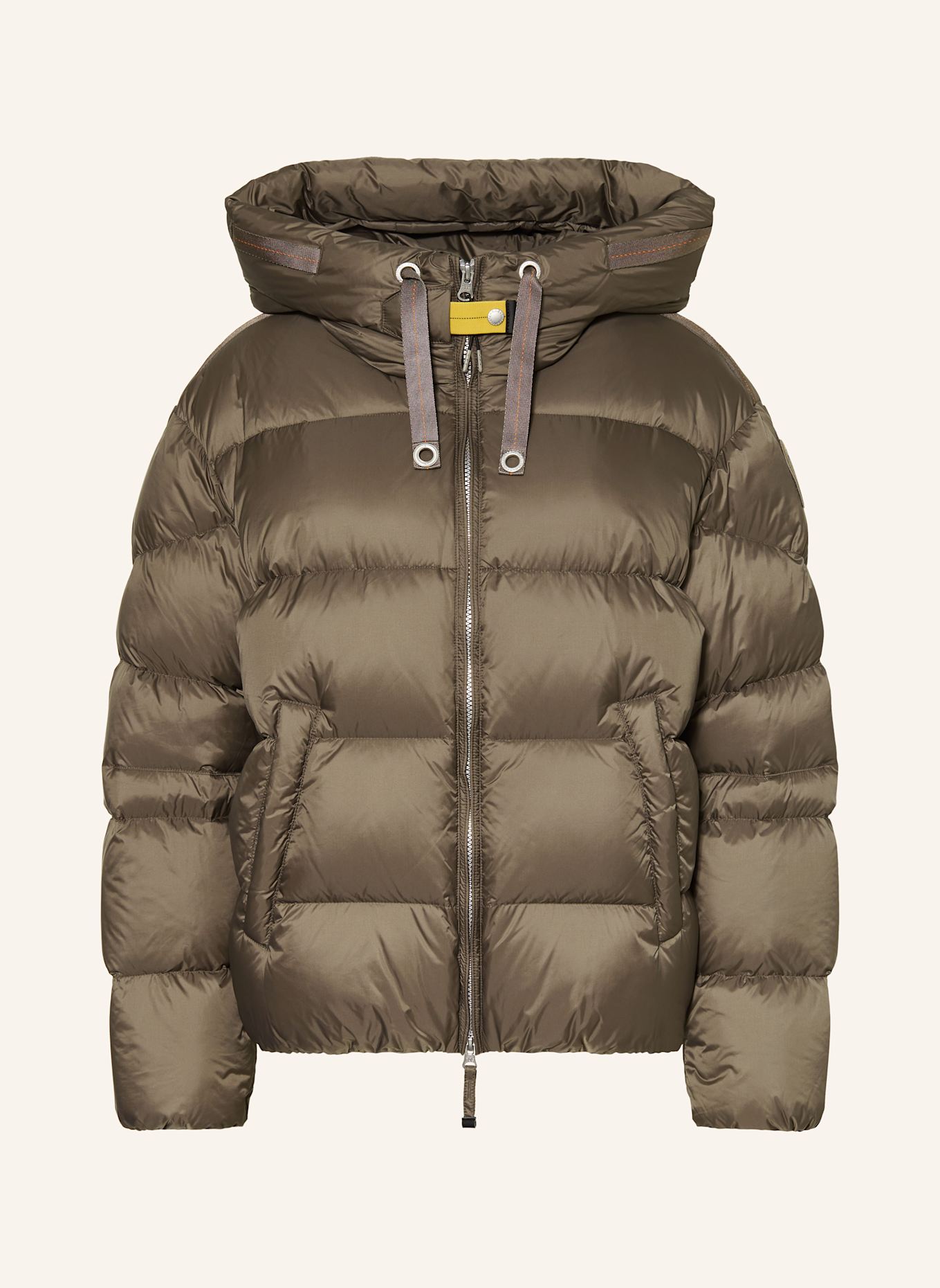 PARAJUMPERS Daunenjacke: OLIV