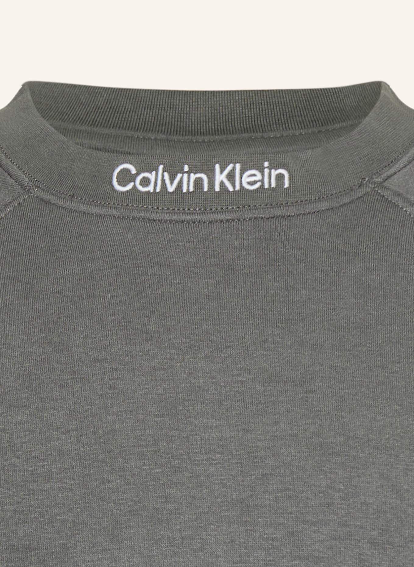 Calvin Klein Sweatshirt: GRAU