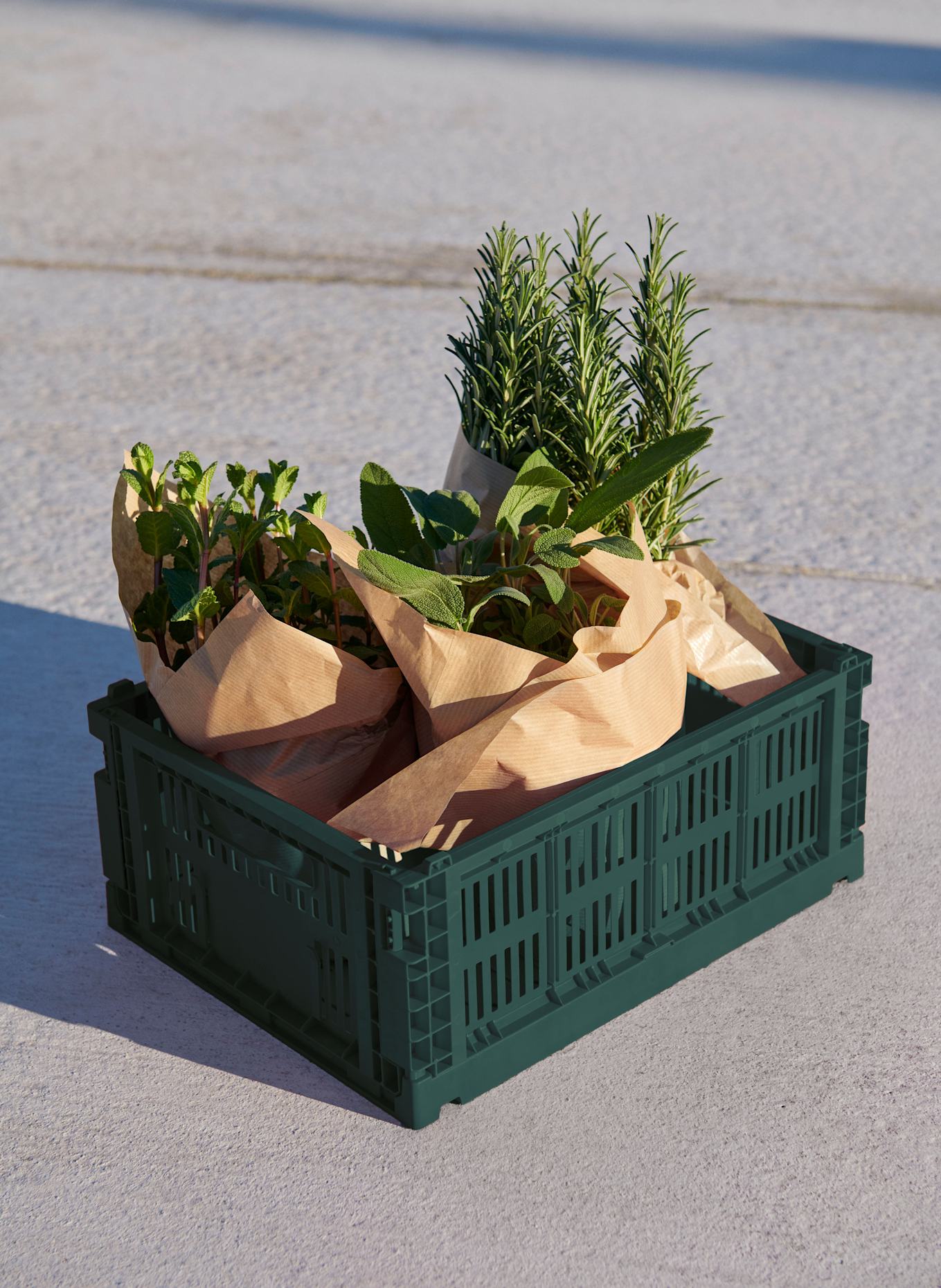 HAY Klappbox COLOUR CRATE MEDIUM: GRÜN