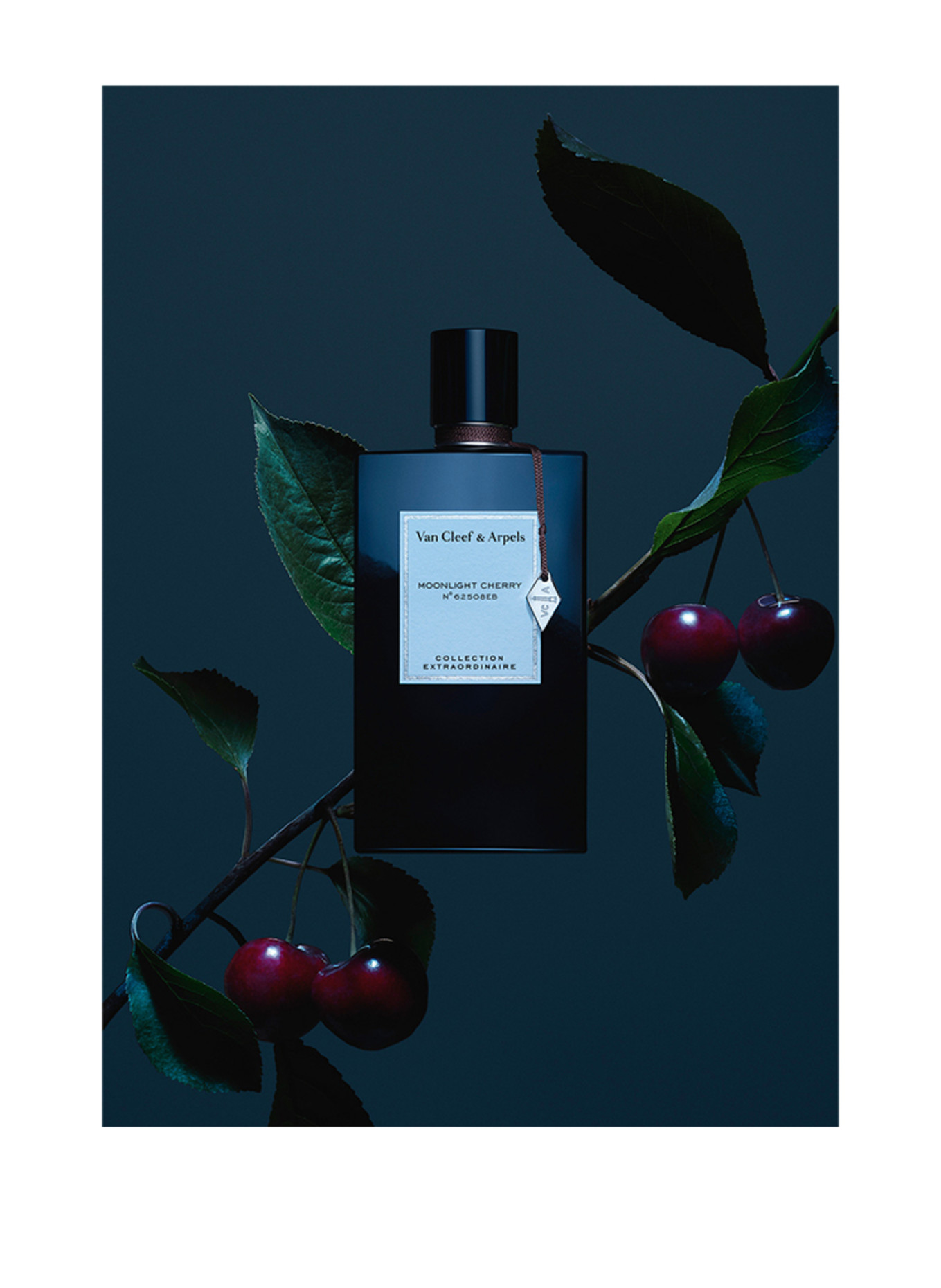 Van Cleef & Arpels PARFUMS MOONLIGHT CHERRY