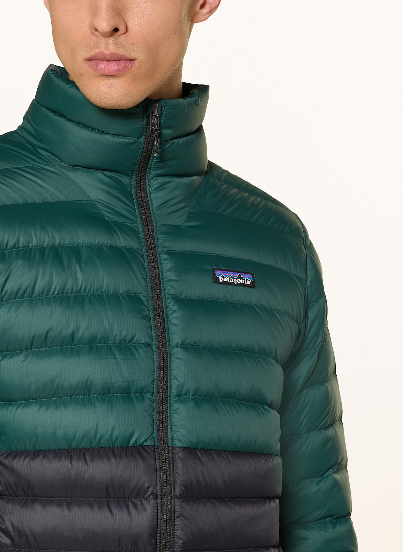patagonia Lichtgewicht donsjack DOWN SWEATER: GROEN / ZWART