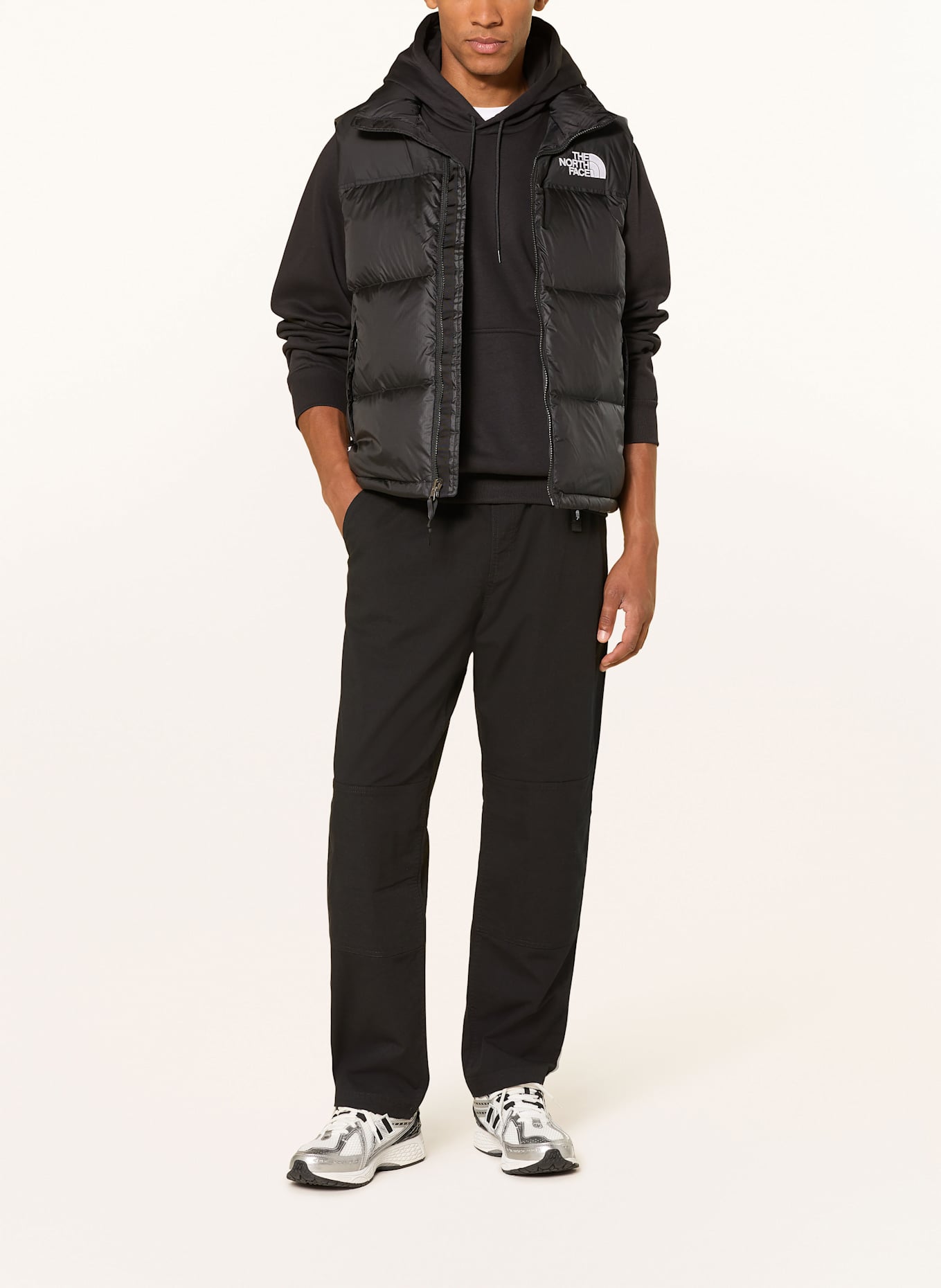 THE NORTH FACE BETA UTILITY BELTED trekking trousers: BLACK