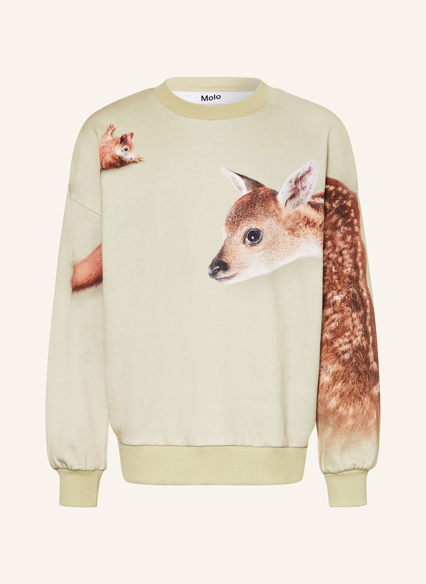 molo Sweatshirt MAXI: HELLGRÜN/ BRAUN