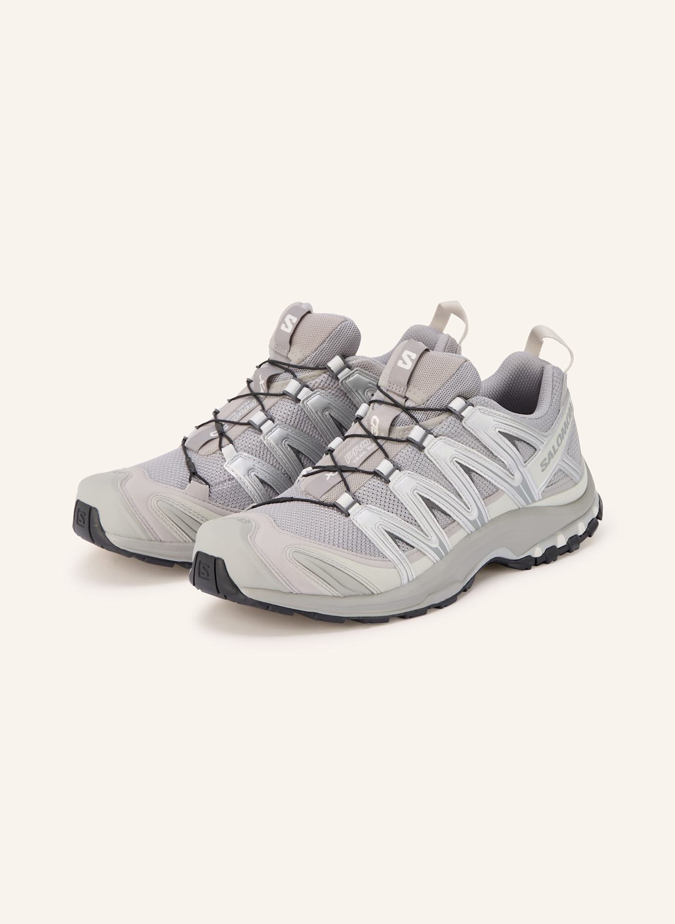 SALOMON Wanderschuhe XA PRO 3D: GRAU / SILBER