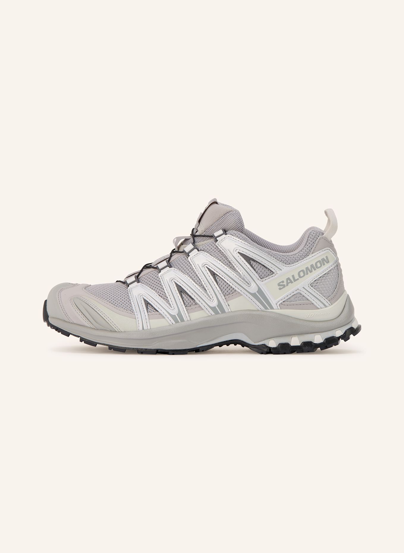 SALOMON Wanderschuhe XA PRO 3D: GRAU / SILBER