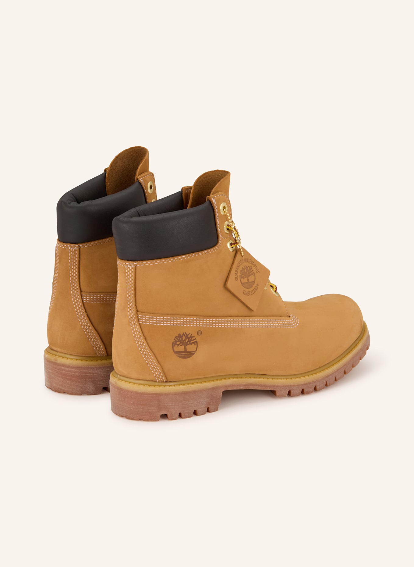 Timberland Schnürboots PREMIUM 6 INCH: CAMEL / DUNKELBRAUN
