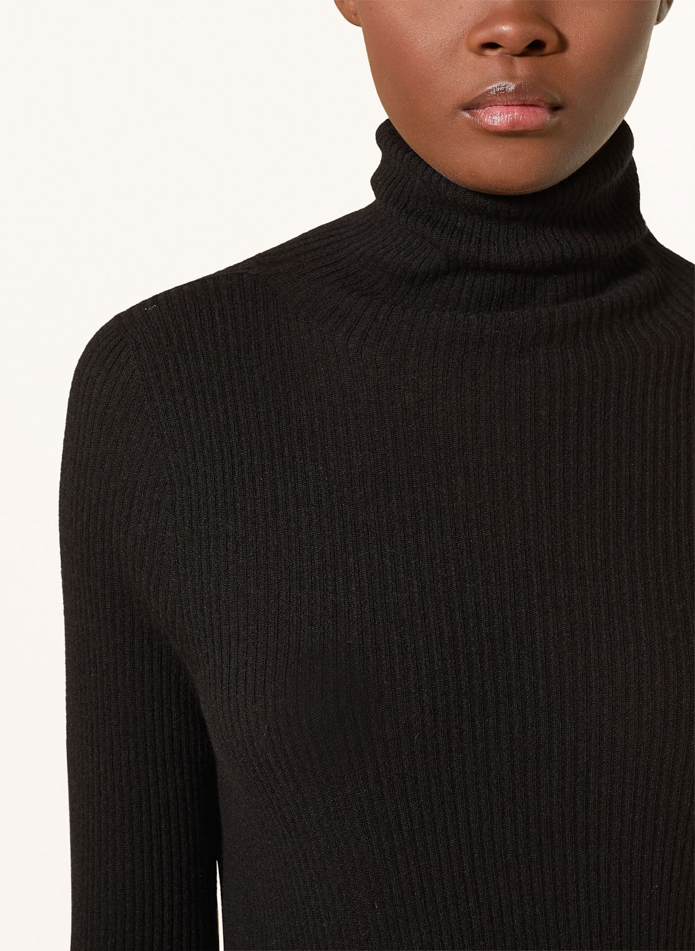 FABIANA FILIPPI Rollkragenpullover: SCHWARZ