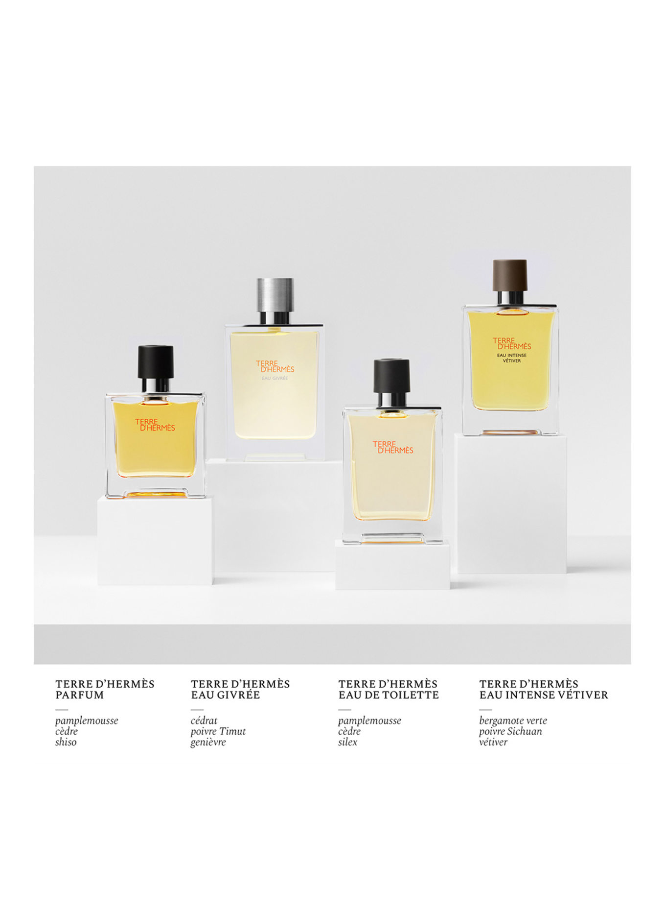 HERMÈS TERRE D'HERMÈS