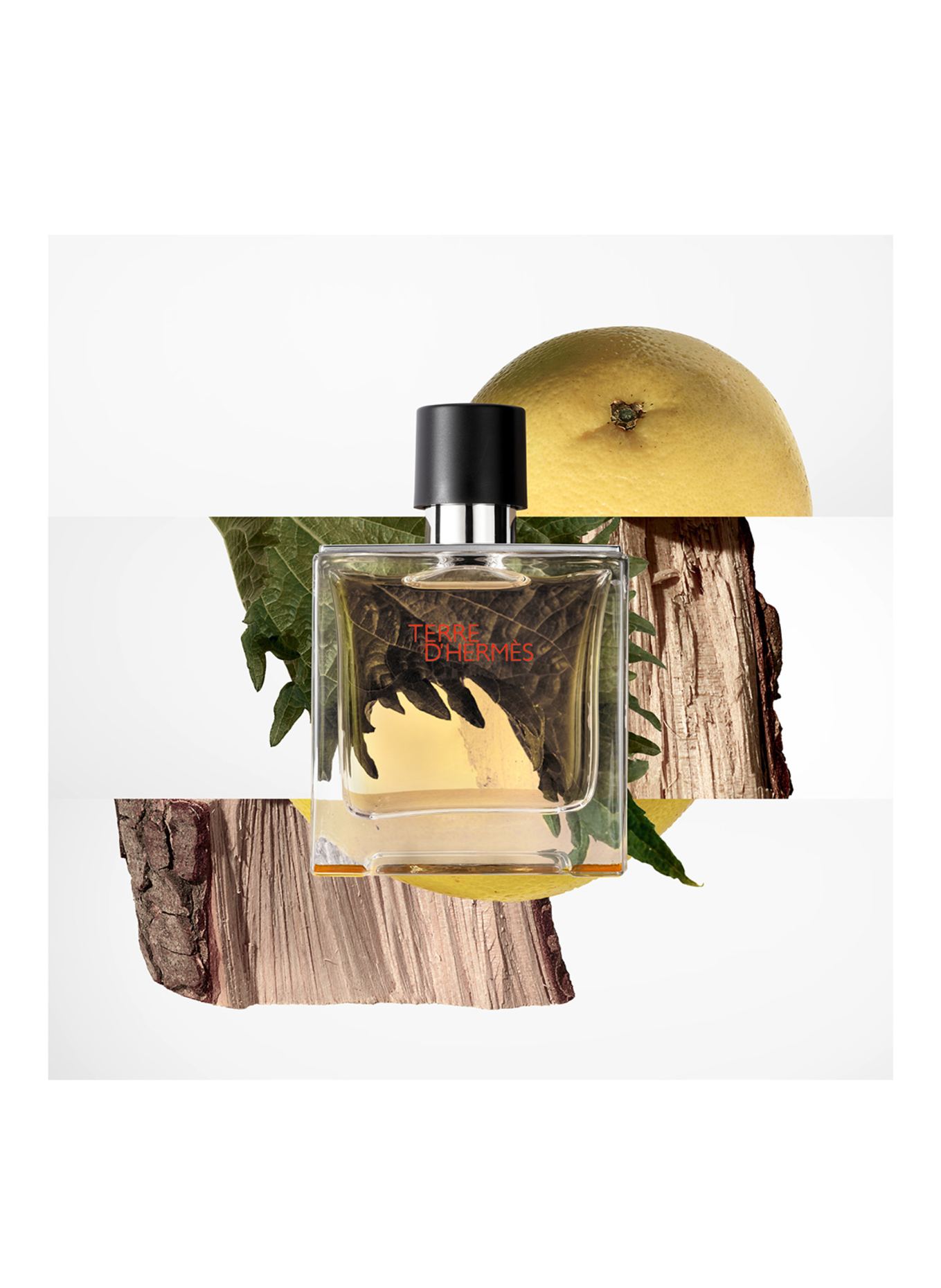 HERMÈS TERRE D'HERMÈS