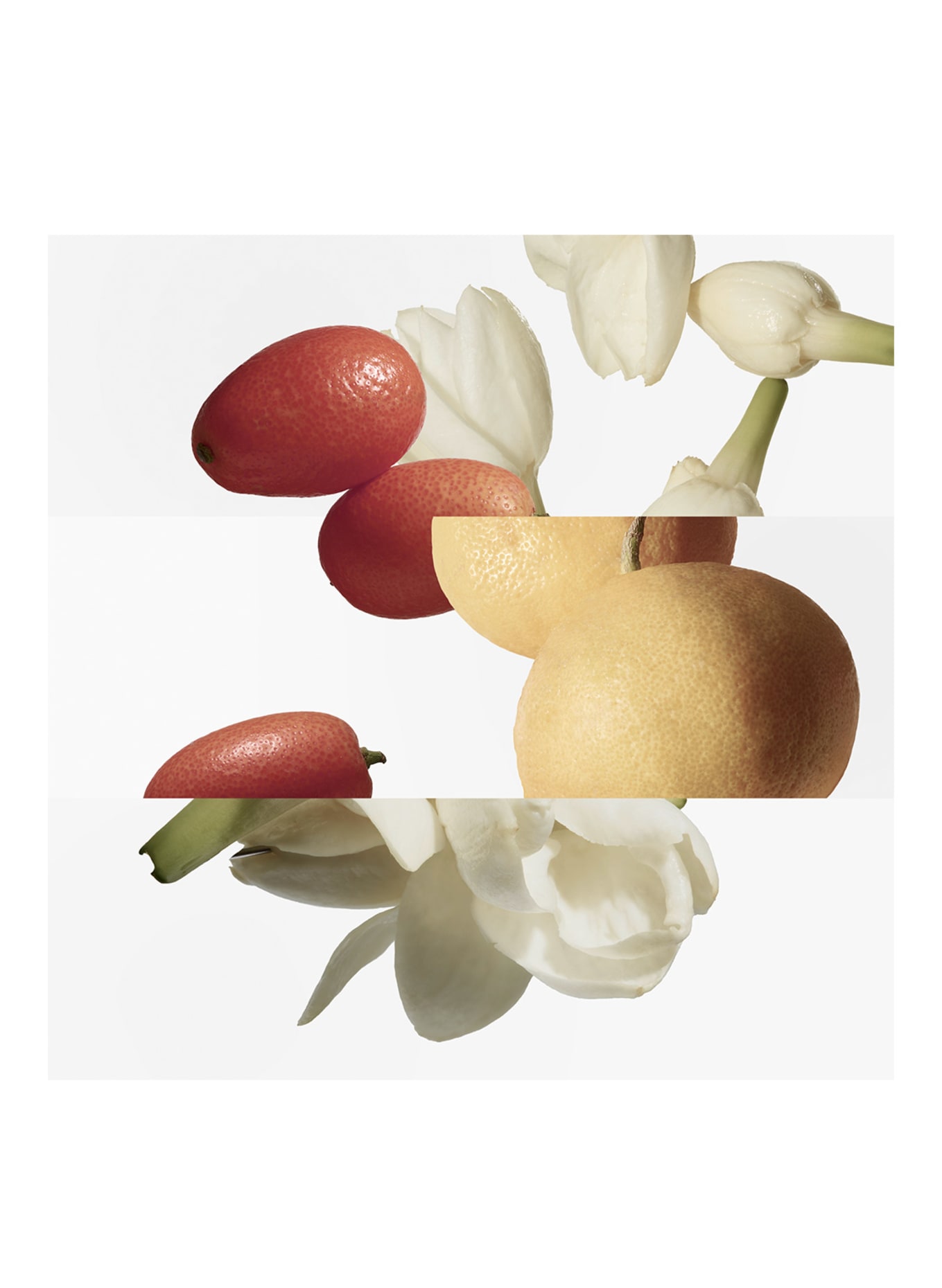 HERMÈS LE JARDIN DE MONSIEUR LI