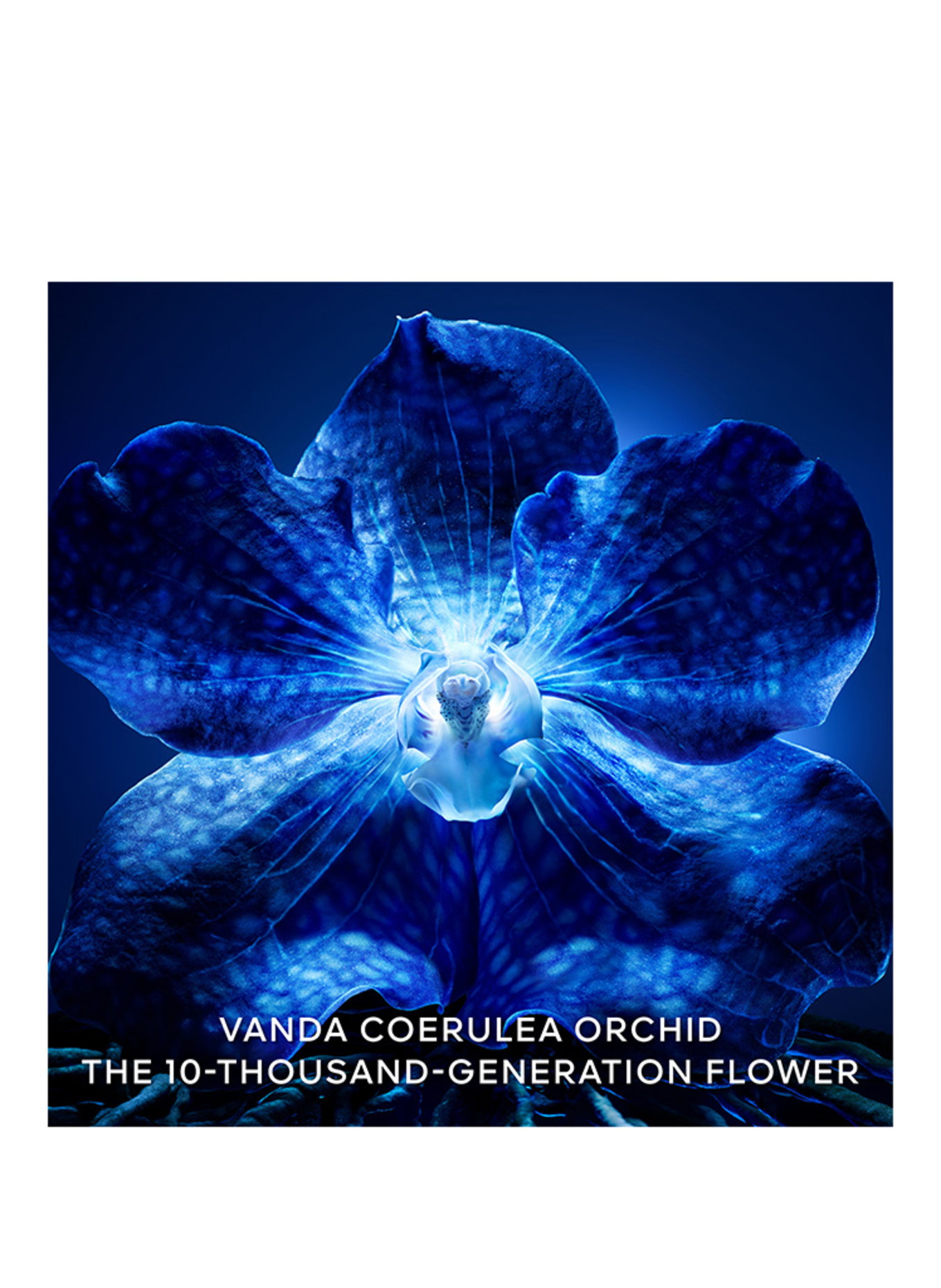 GUERLAIN ORCHIDÉE IMPÉRIALE