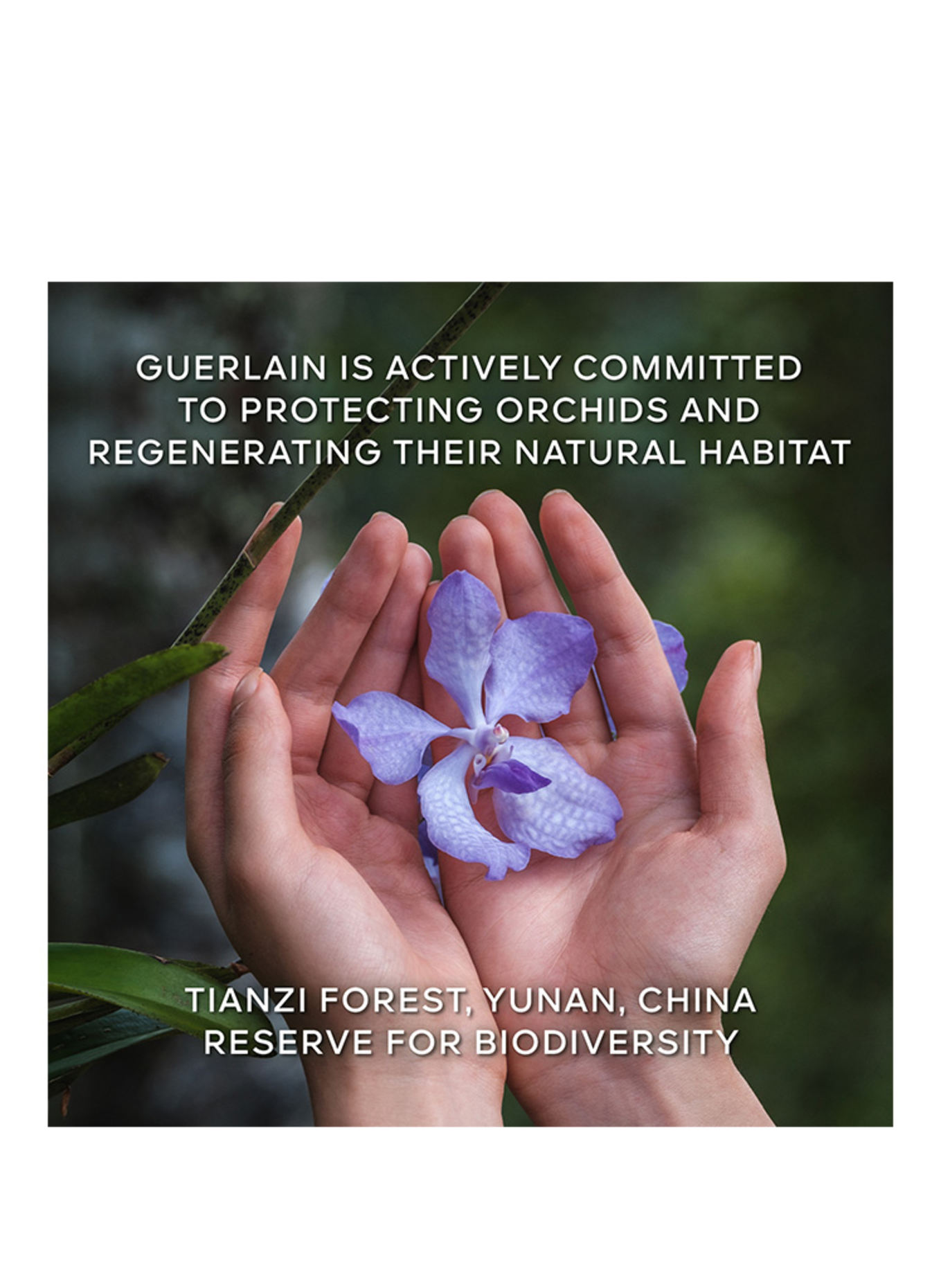 GUERLAIN ORCHIDÉE IMPÉRIALE