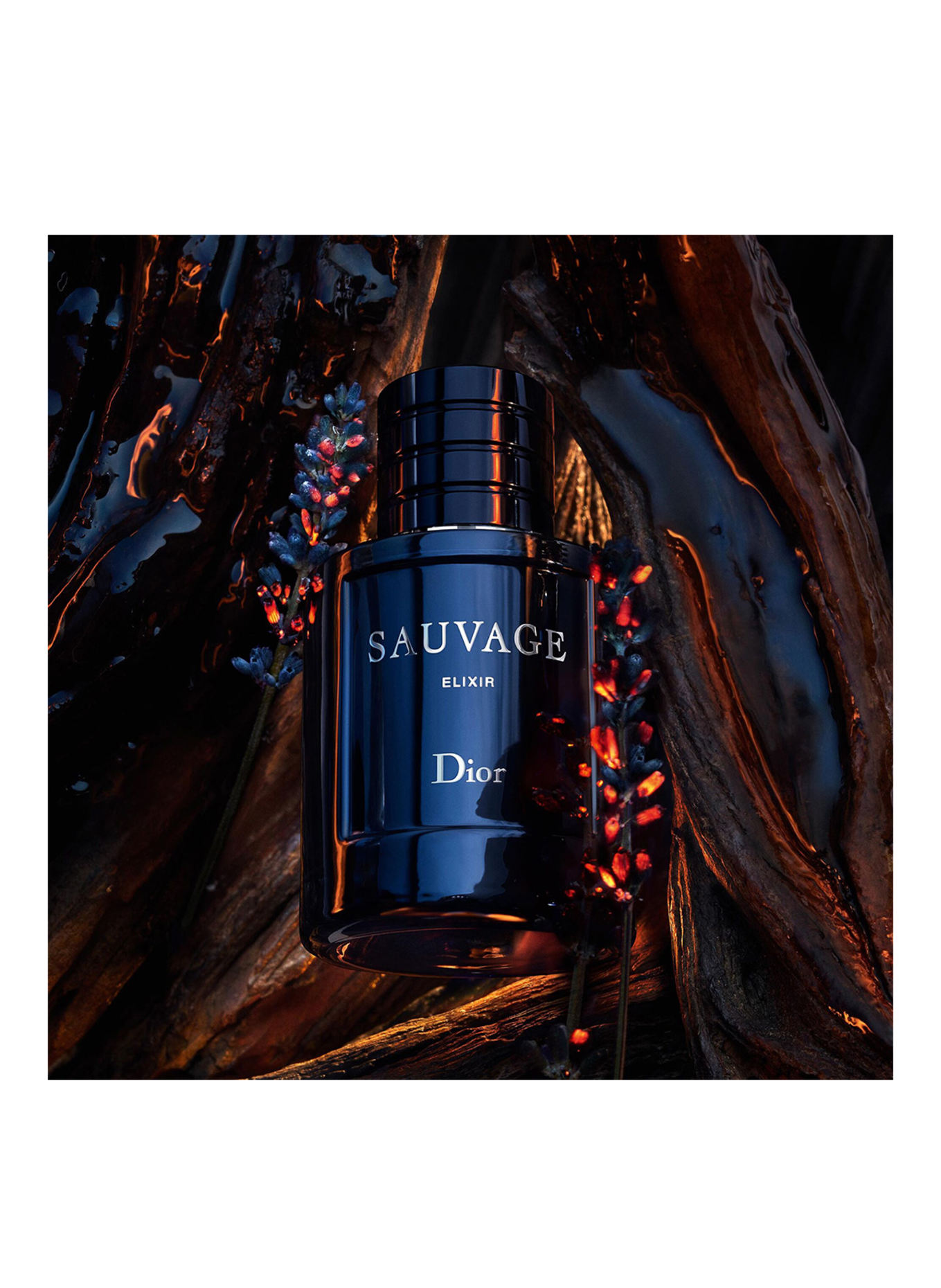 DIOR SAUVAGE ELIXIR