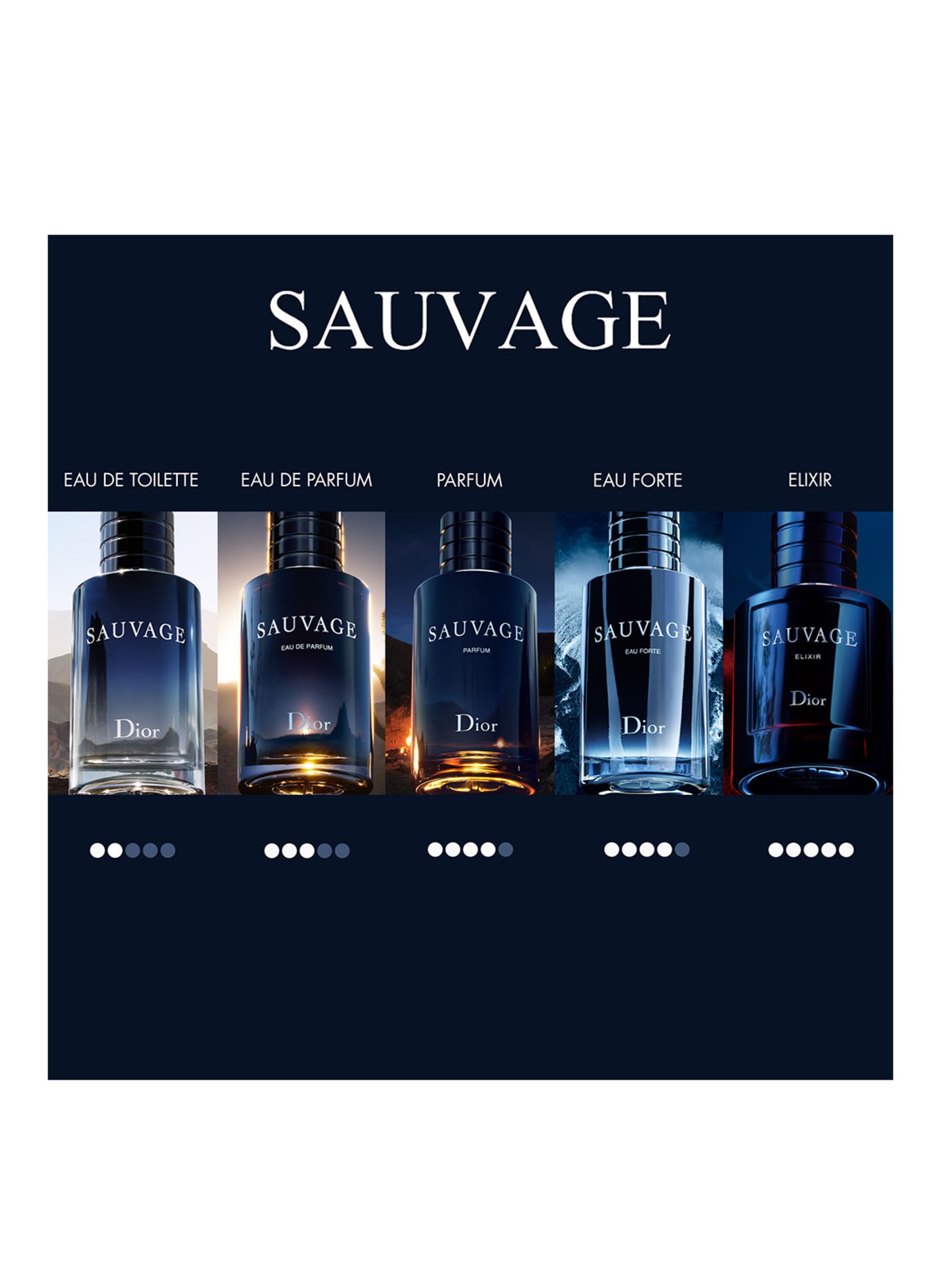 DIOR SAUVAGE ELIXIR Parfum