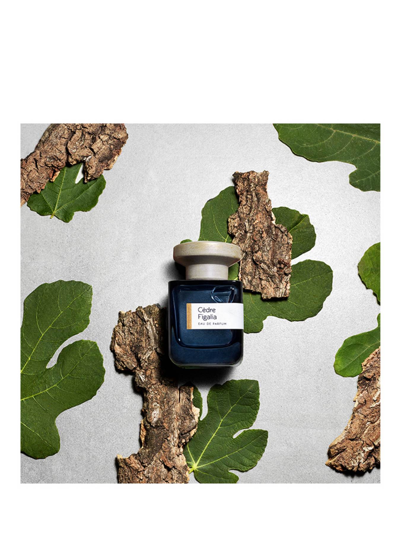 ATELIER MATERI CÈDRE FIGALA