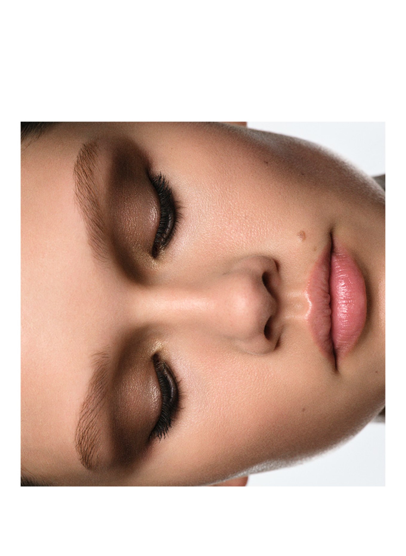 BYREDO BIBLIOPHILIA: 18C BIBLIOPHILIA