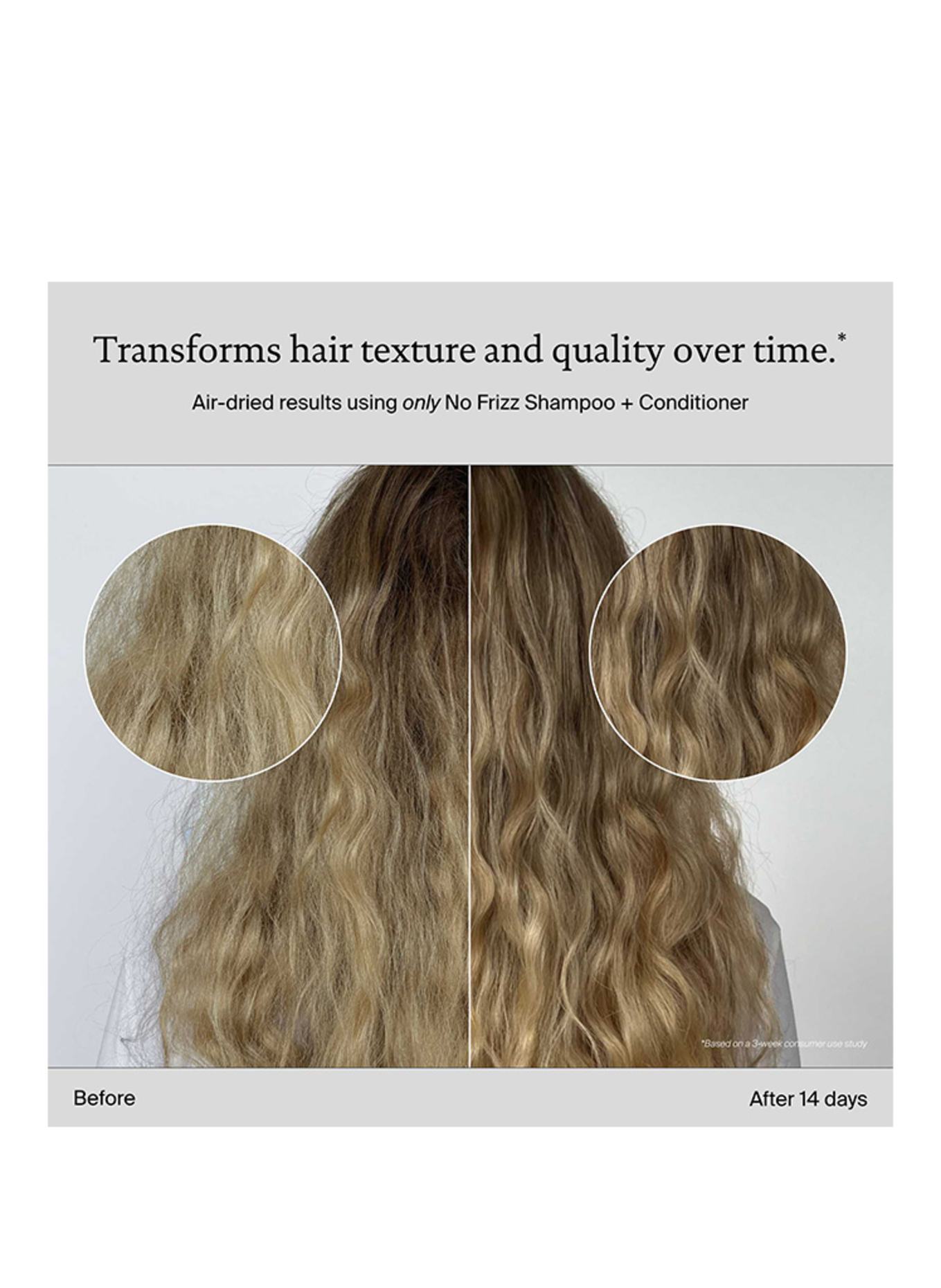 LIVING PROOF NO FRIZZ