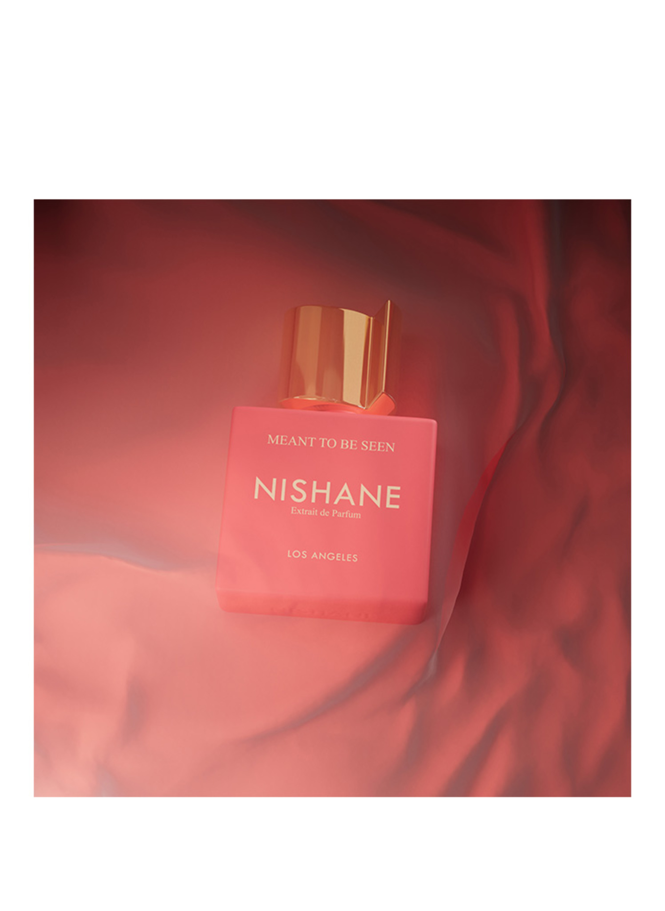 NISHANE MEANT TO BE SEEN