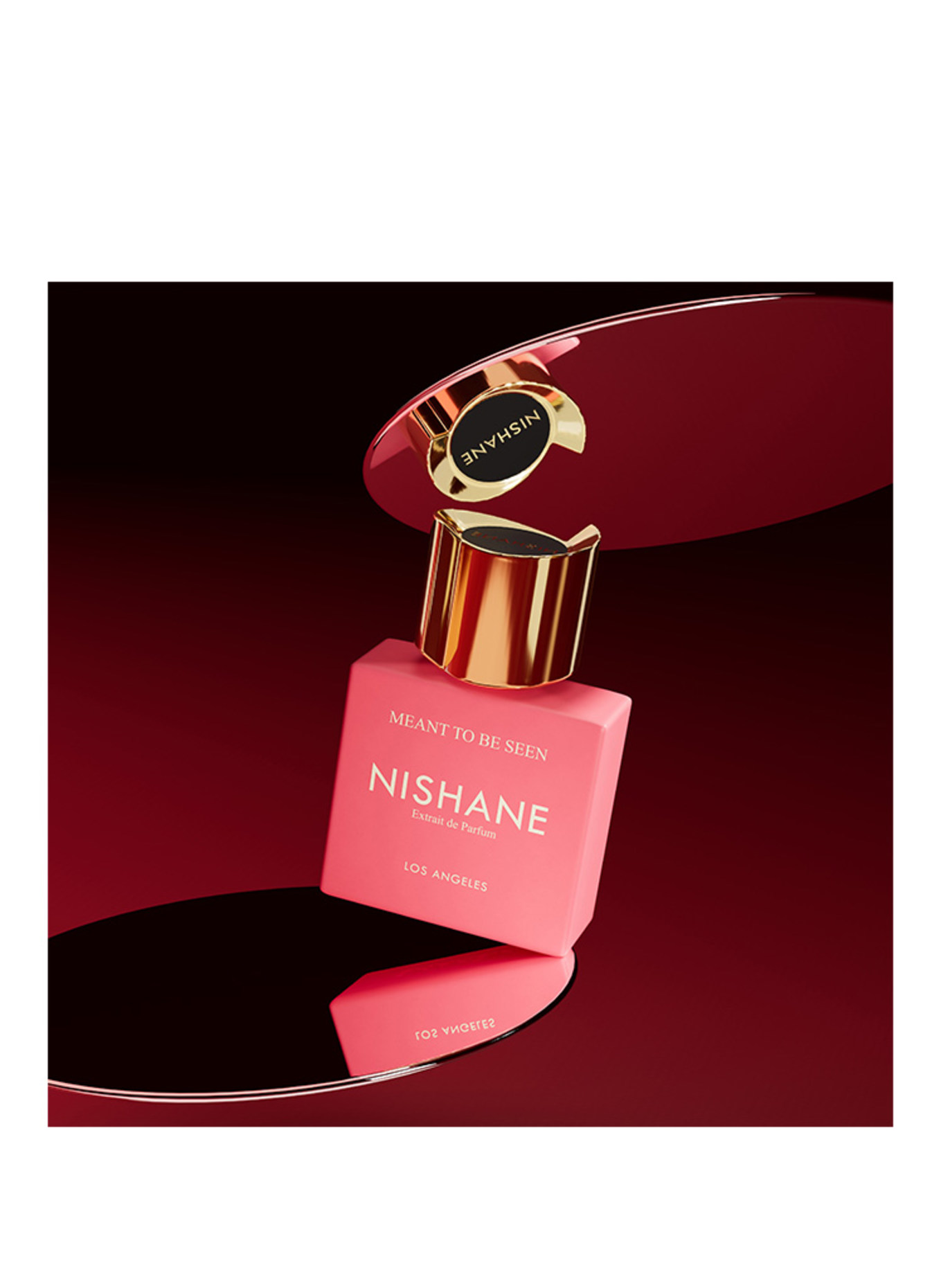 NISHANE MEANT TO BE SEEN