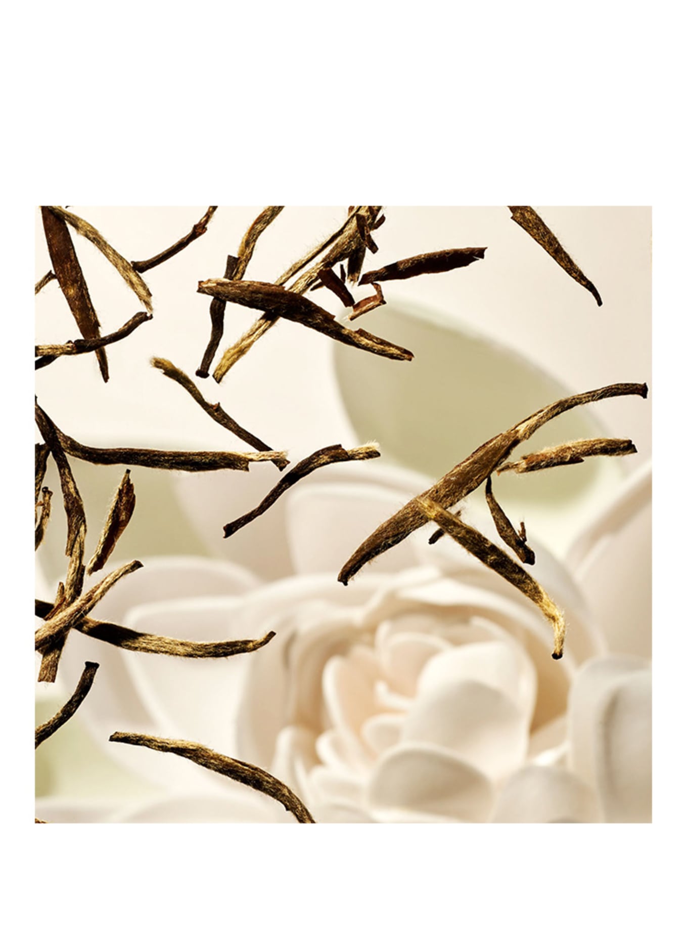 RITUALS HET RITUEEL VAN KARMA