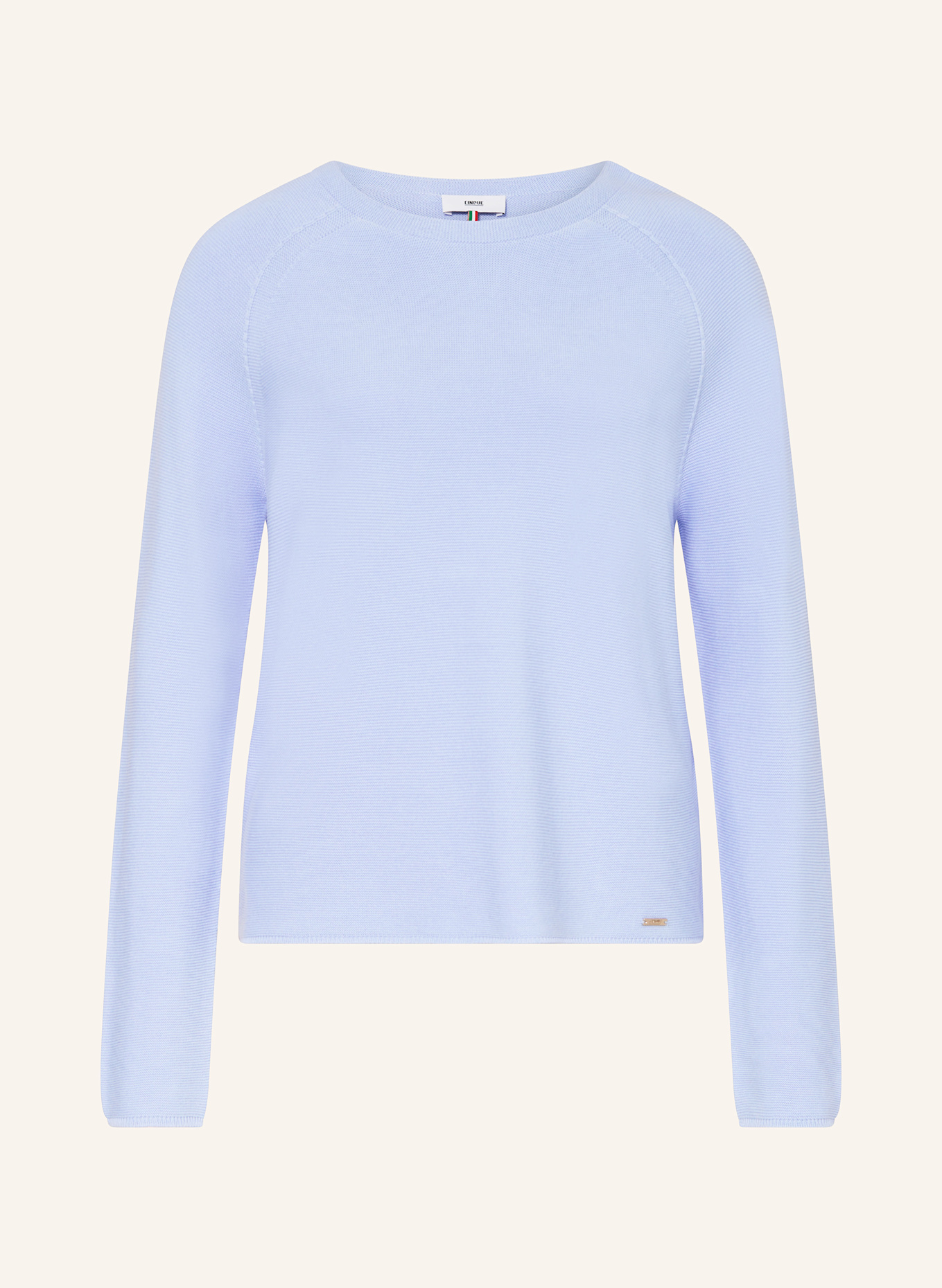 CINQUE Sweater CIELLA: LIGHT BLUE