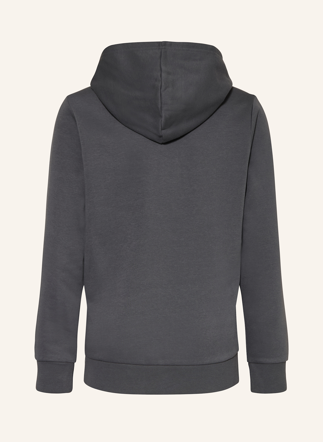 Champion Hoodie: DUNKELGRAU