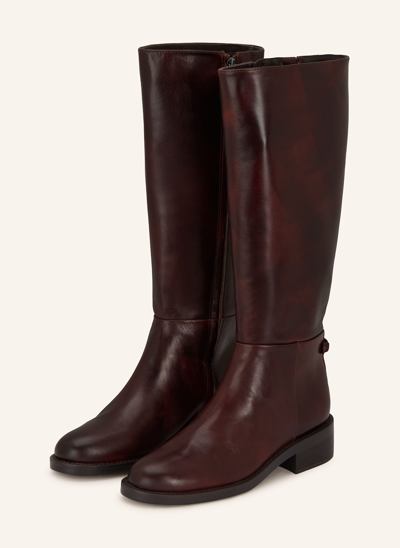 Sam Edelman Stiefel MILLA: DUNKELBRAUN