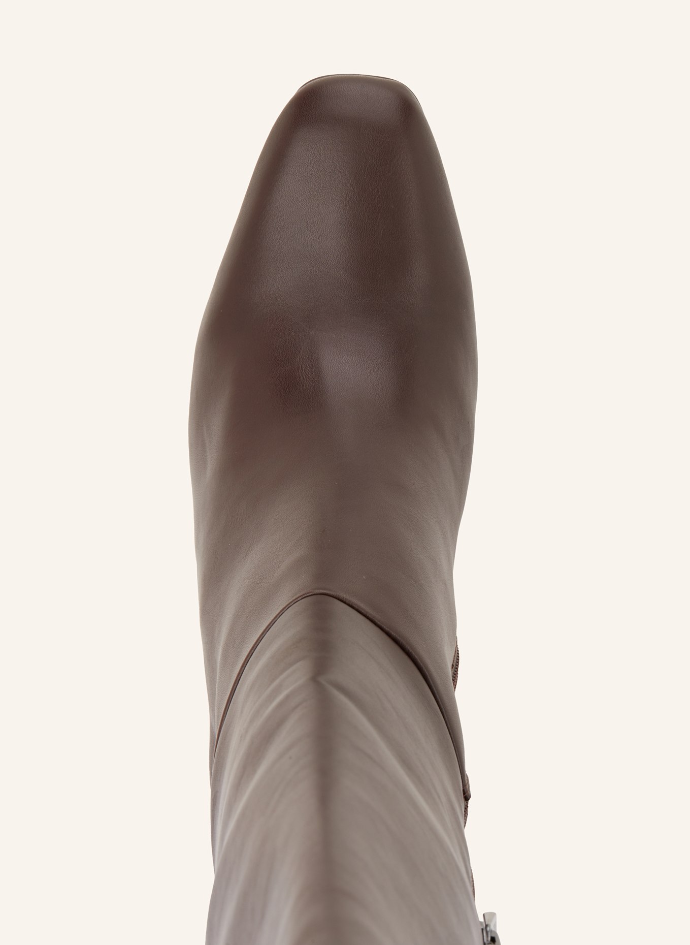 STEVE MADDEN Stiefel SPEEDWAY: BRAUN