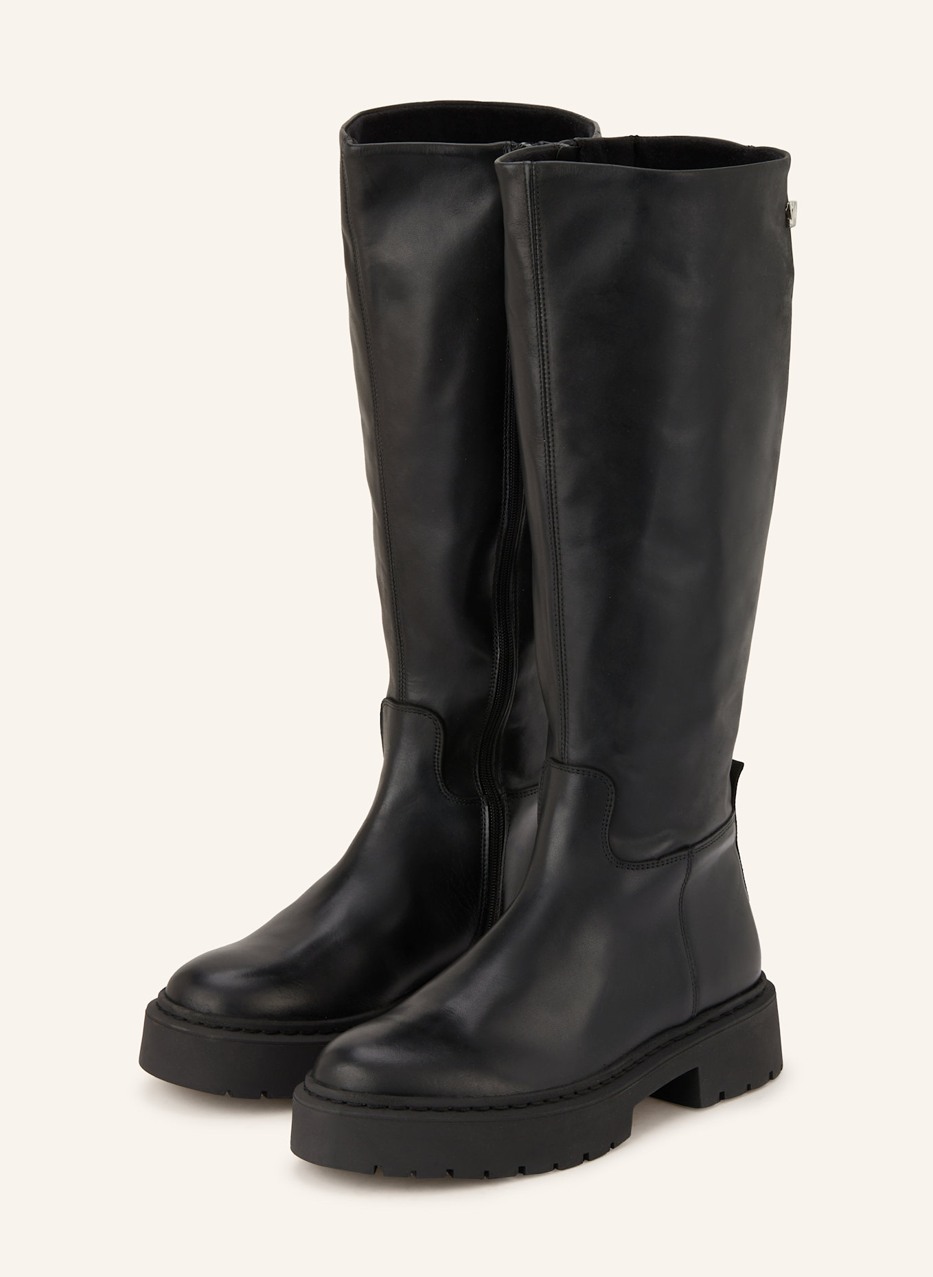 STEVE MADDEN Stiefel GALINA: SCHWARZ