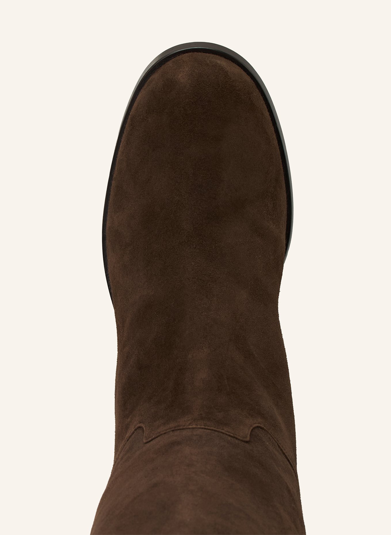 DOLCE & GABBANA Stiefel: DUNKELBRAUN