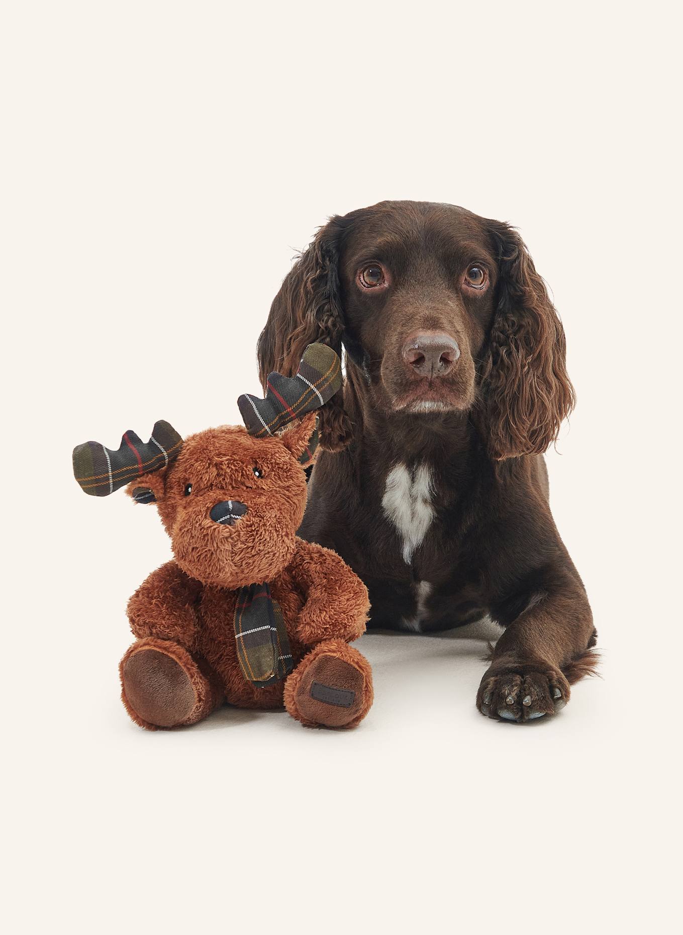 Barbour Pluszowa zabawka pies REINDEER: BRĄZOWY
