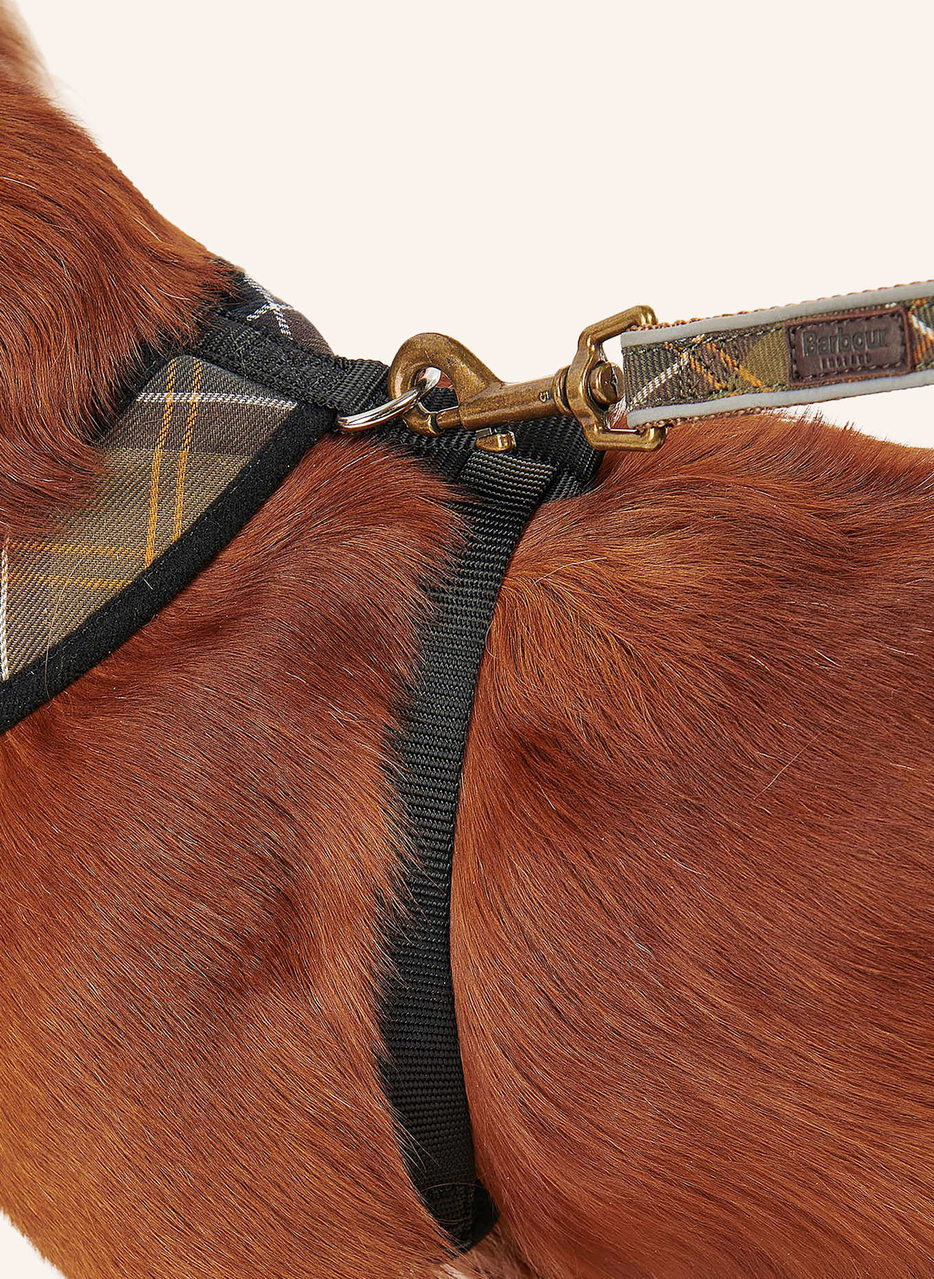 Barbour Hundegeschirr CLASSIC L: SCHWARZ/ DUNKELGRAU/ GELB