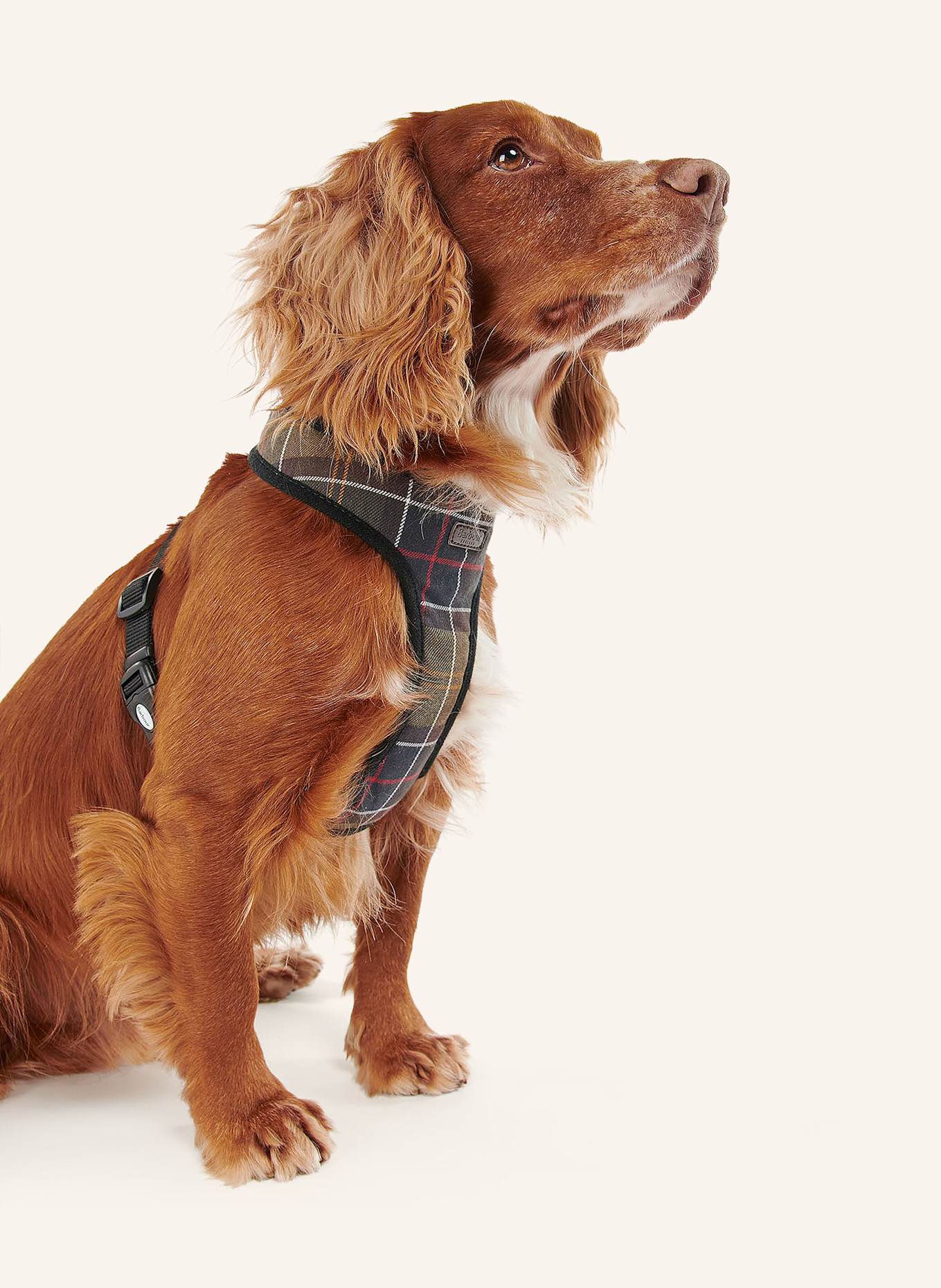 Barbour Hundegeschirr CLASSIC L: SCHWARZ/ DUNKELGRAU/ GELB