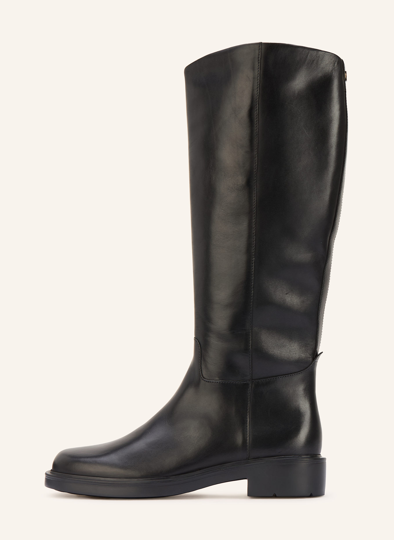 Högl Stiefel: SCHWARZ