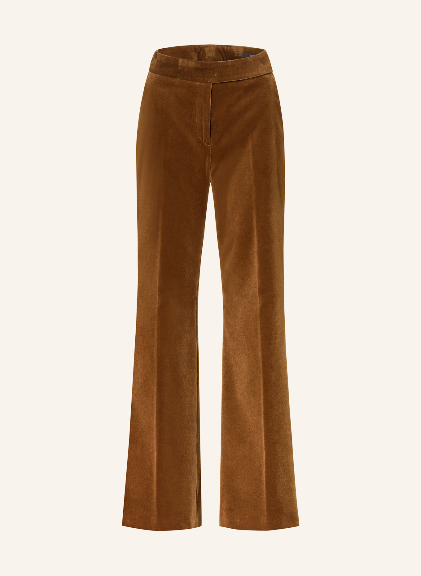 windsor. Marlenehose aus Samt: BRAUN