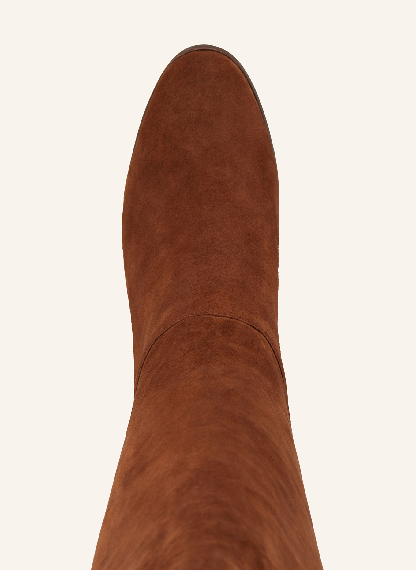 LAUREN RALPH LAUREN Stiefel: BRAUN