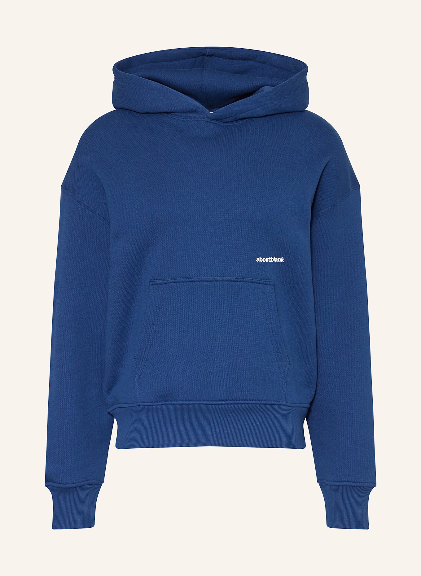 about:blank Hoodie: BLAU / WEISS