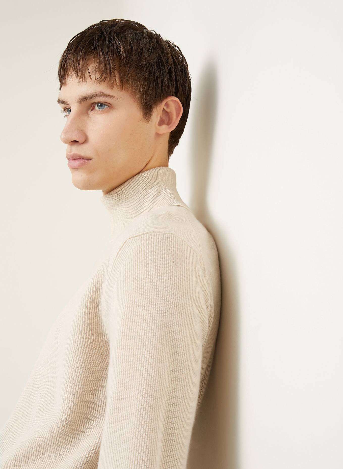 Brioni Rollkragenpullover mit Cashmere: BEIGE