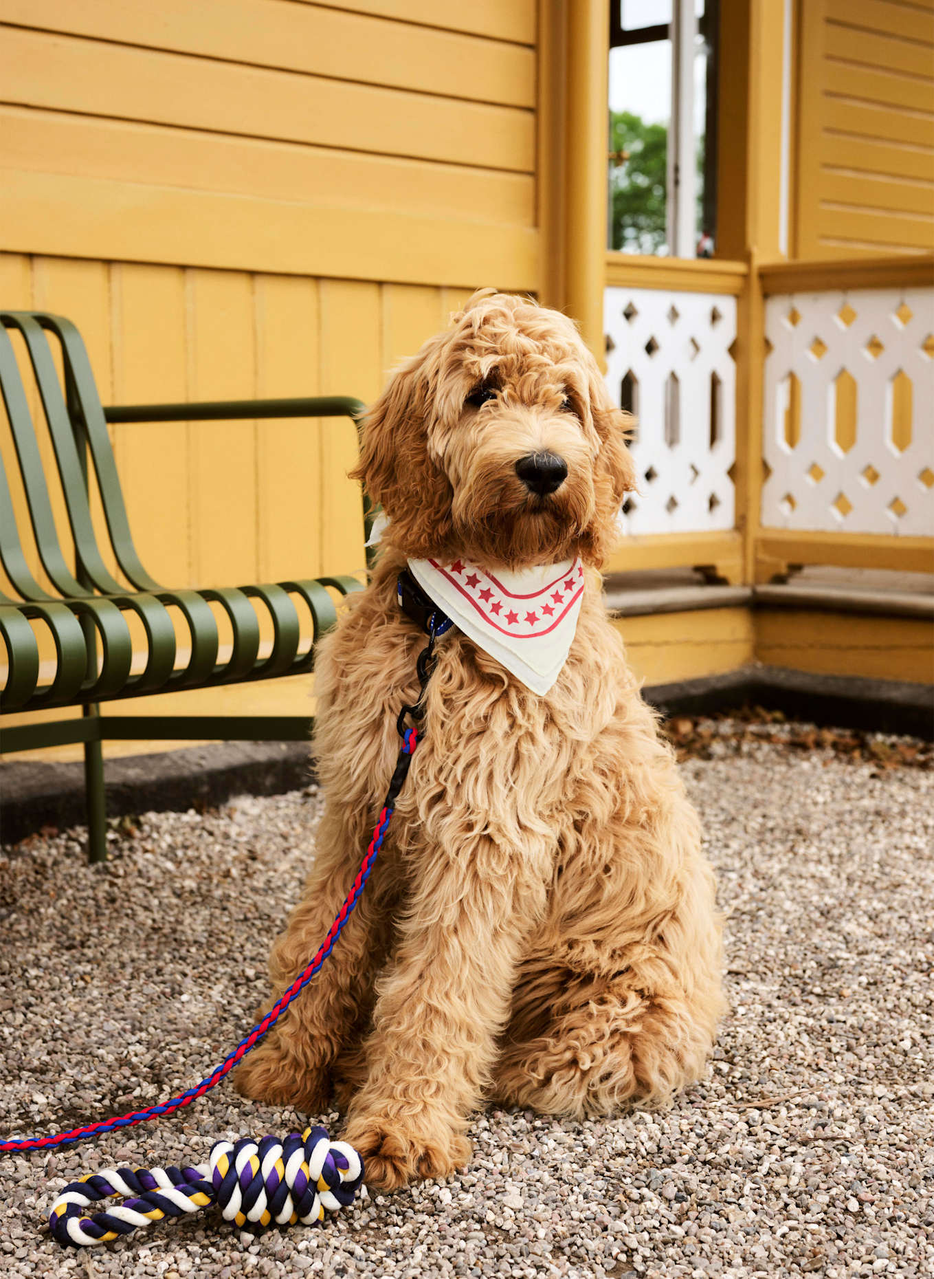 HAY Hundehalstuch: ECRU / ROT