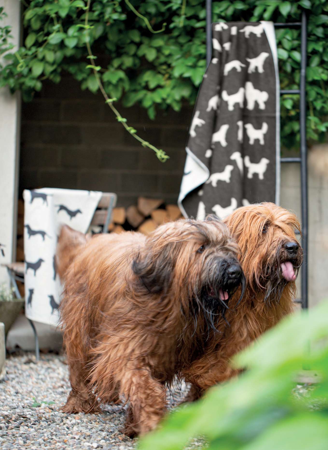 David Fussenegger Plaid HUNDESILHOUETTEN: DUNKELGRAU / CREME