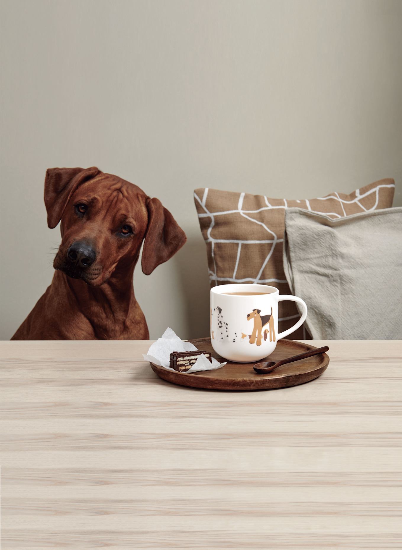 ASA Henkelbecher: CREME