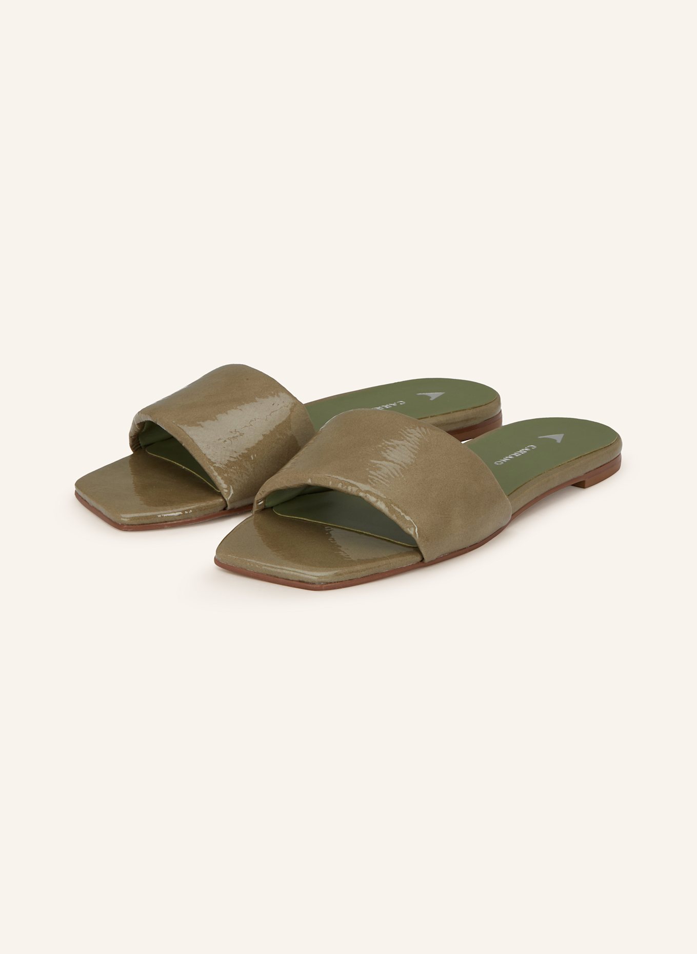 CARRANO Slides: OLIVE