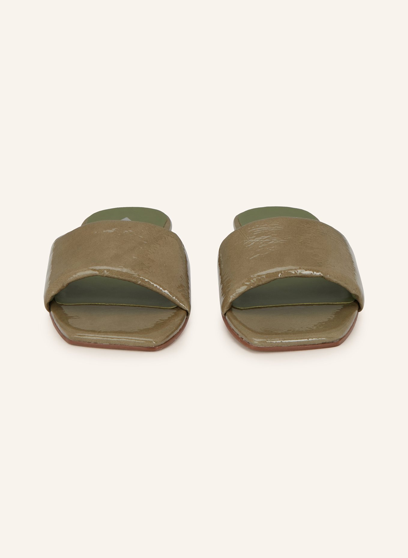 CARRANO Slides: OLIVE
