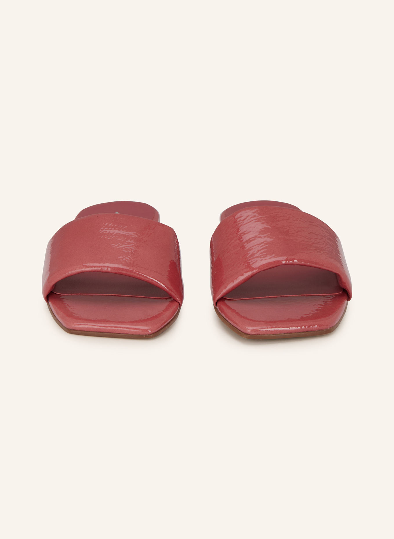 CARRANO Slides: LIGHT RED