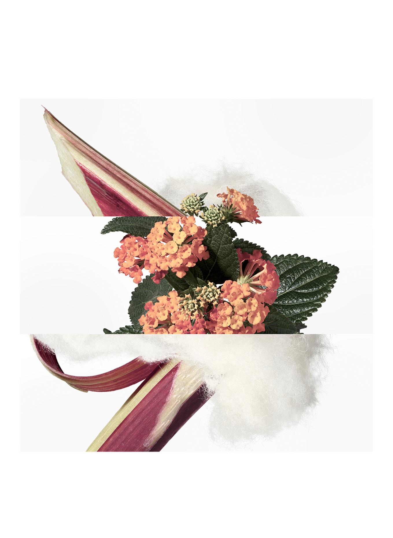 HERMÈS EAU DE RHUBARBE ÉCARLATE