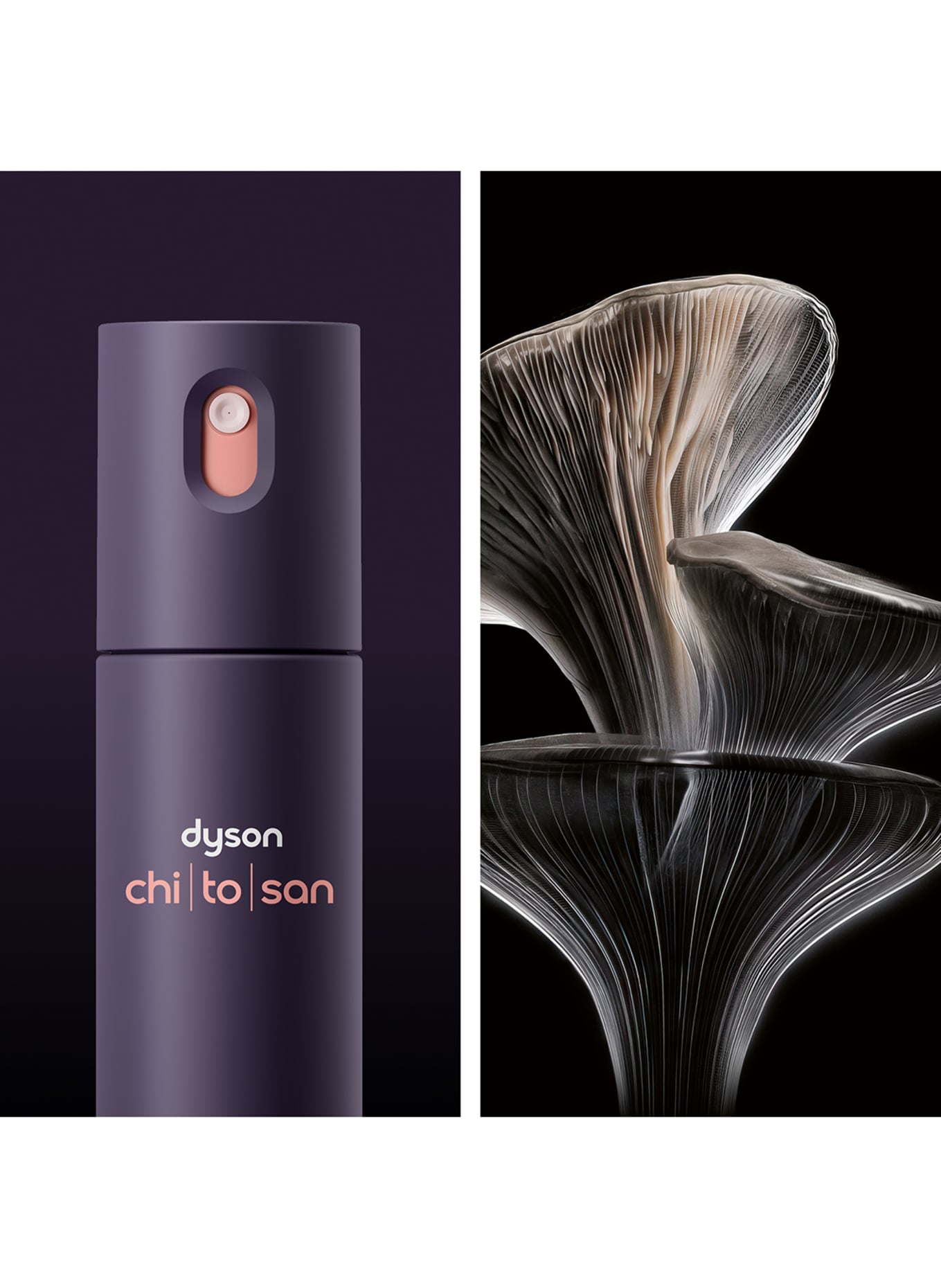 dyson CHITOSAN™