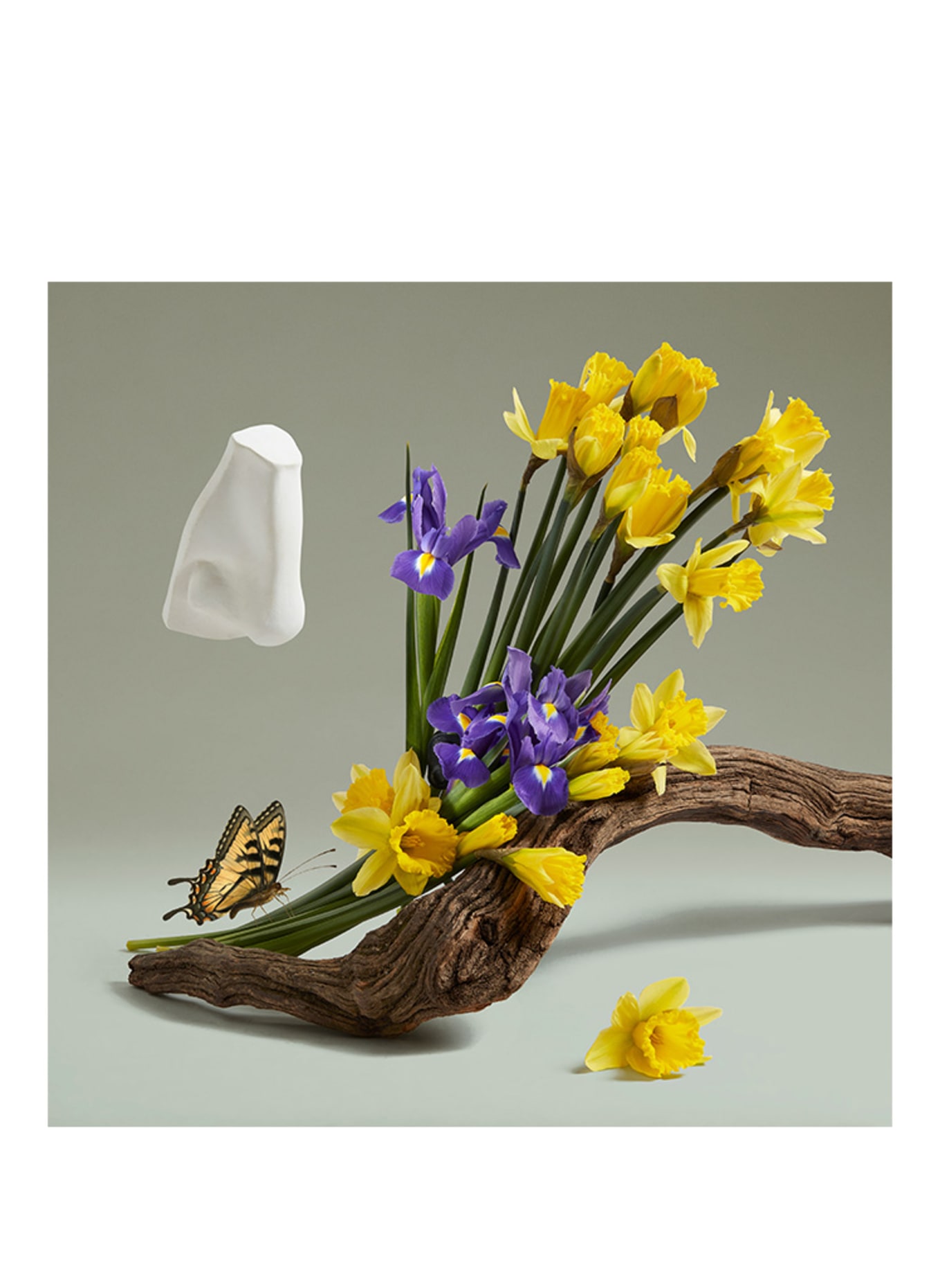 PENHALIGON'S THE REVENGE OF LADY BLANCHE