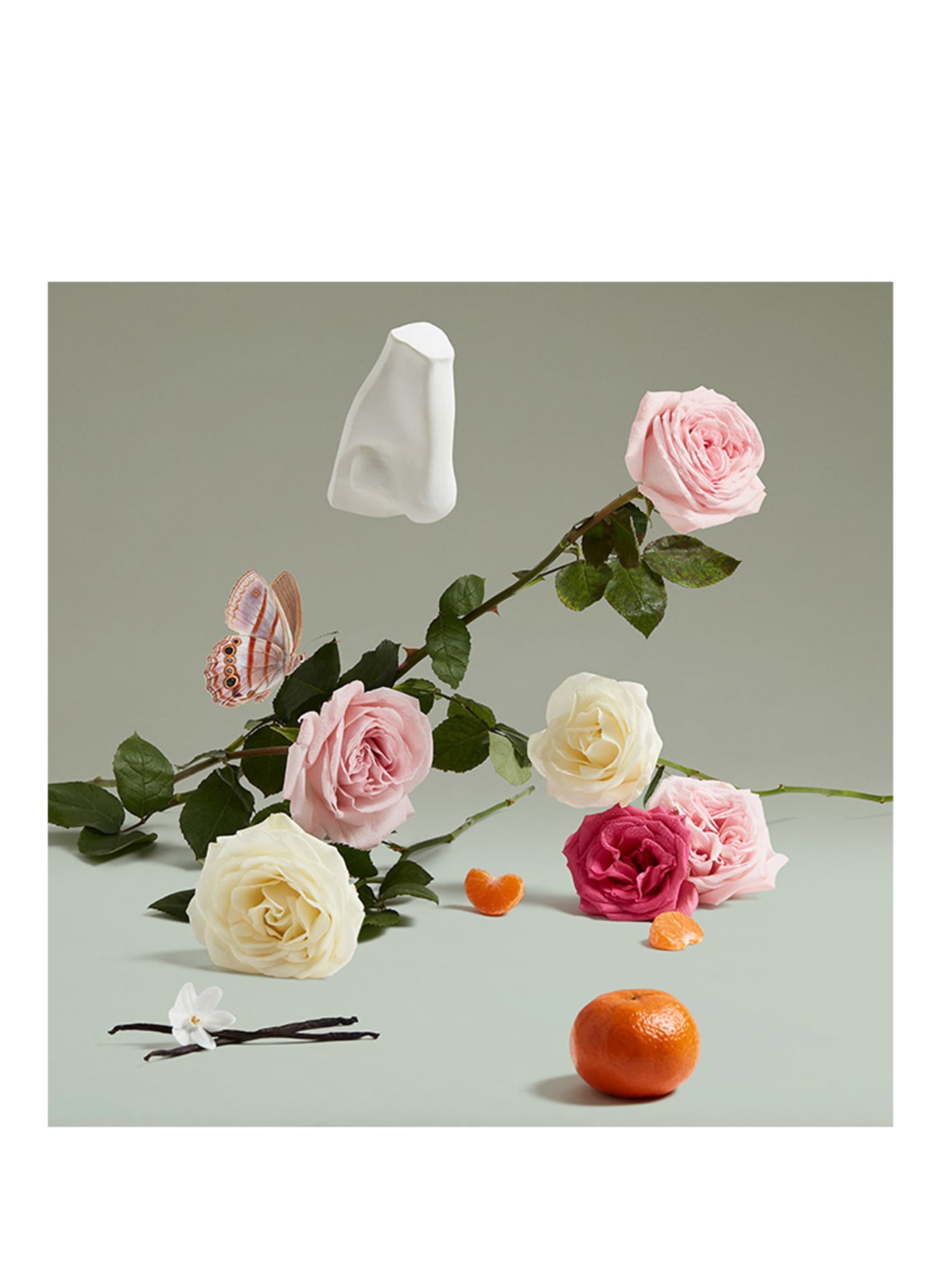 PENHALIGON'S THE COVETED DUCHESS ROSE