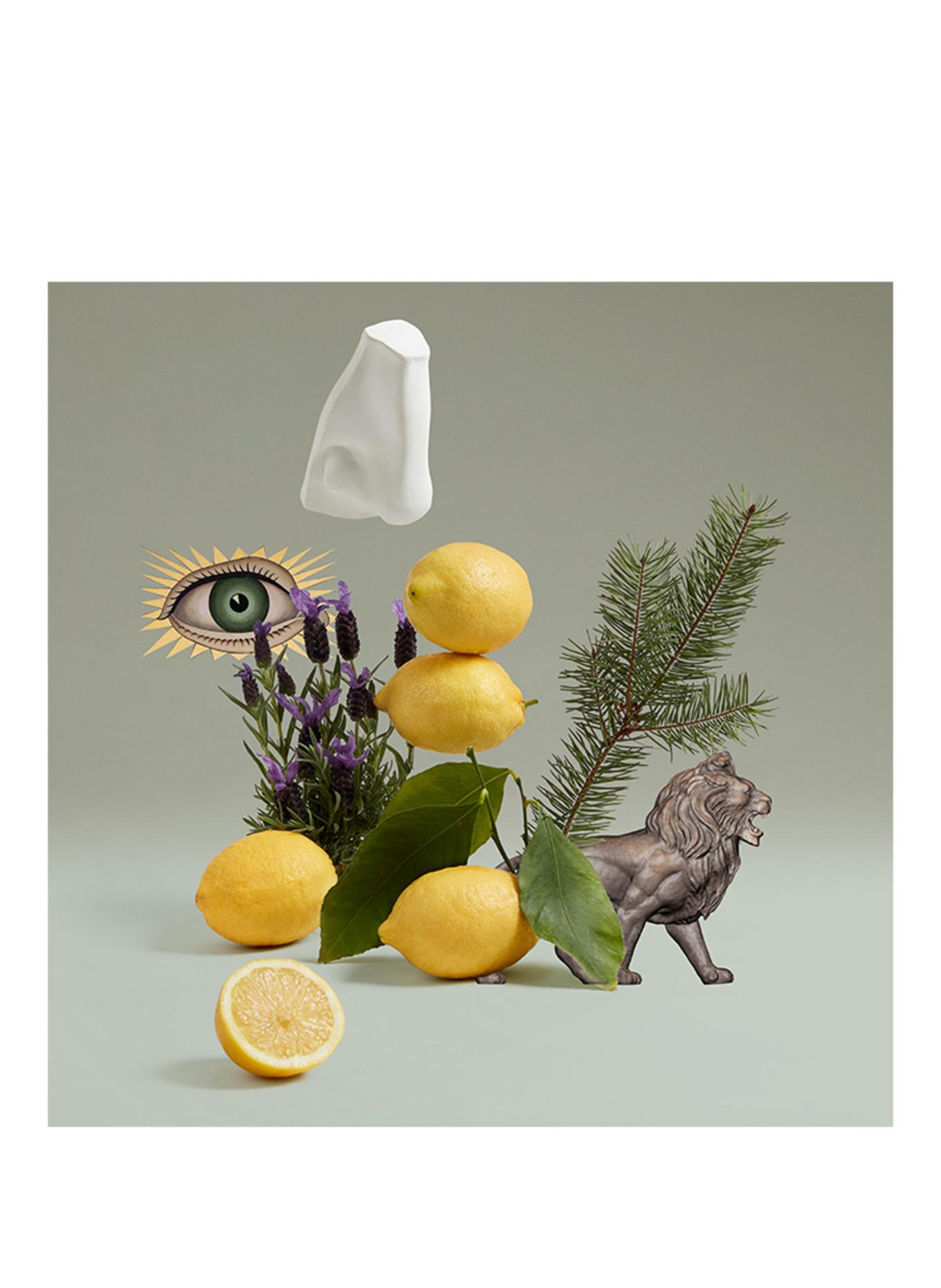 PENHALIGON'S BLENHEIM BOUQUET