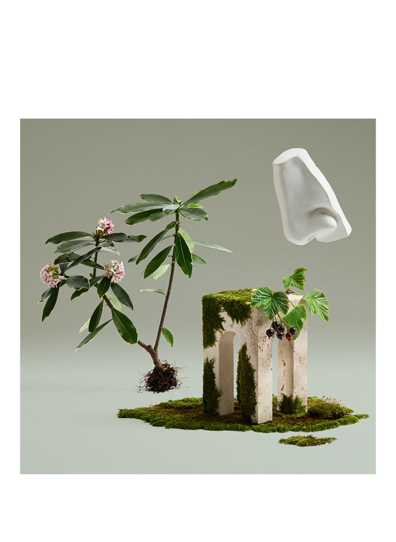 PENHALIGON'S Bouquet Daphné